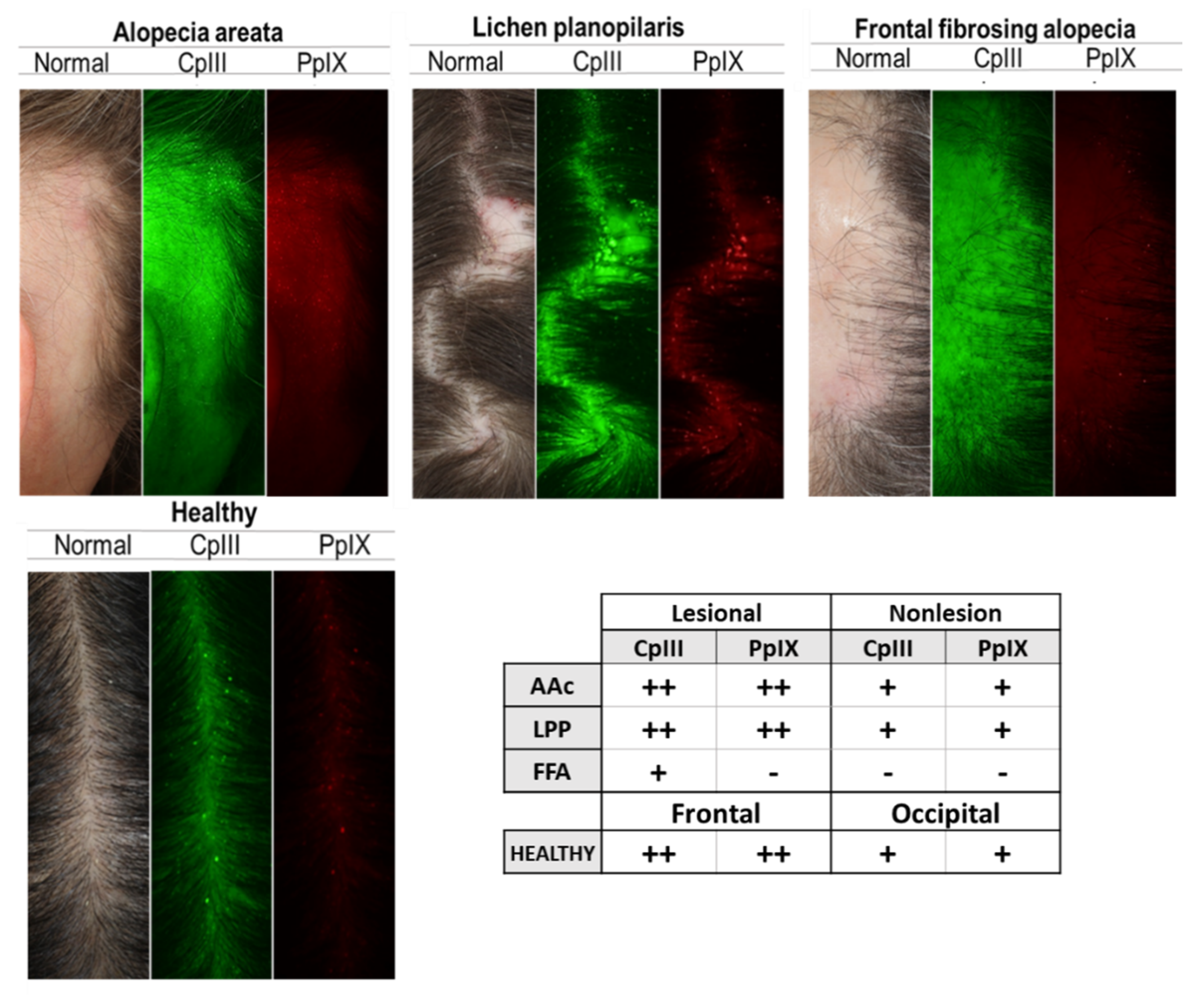 Biomedicines 09 00266 g002