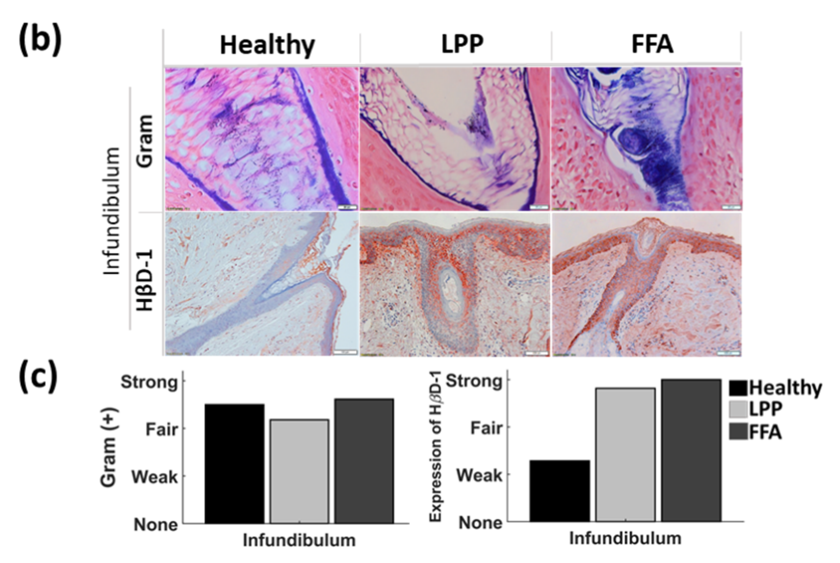 Biomedicines 09 00266 g004b