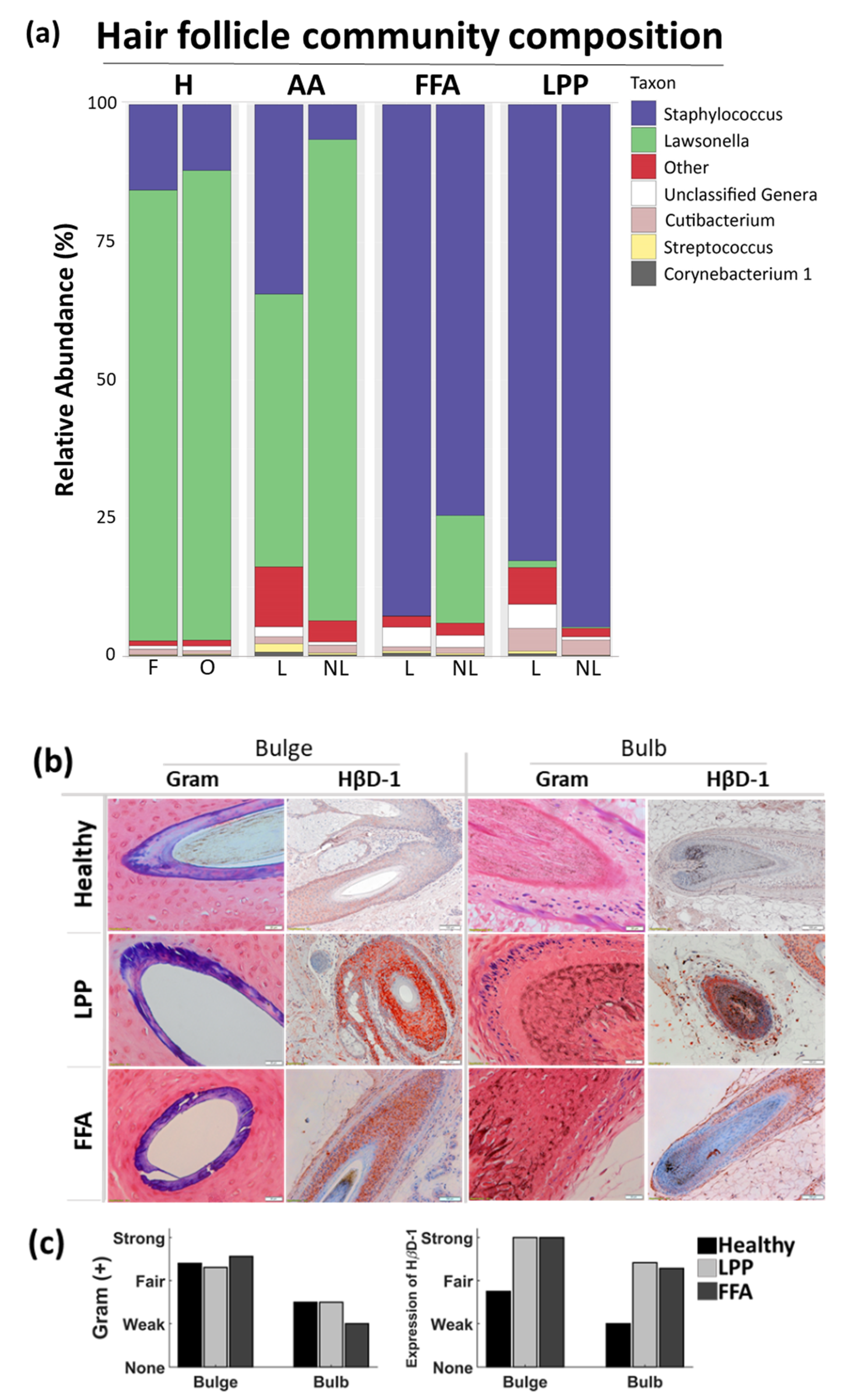 Biomedicines 09 00266 g005