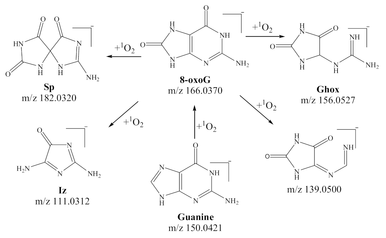Biomedicines 09 00271 g001