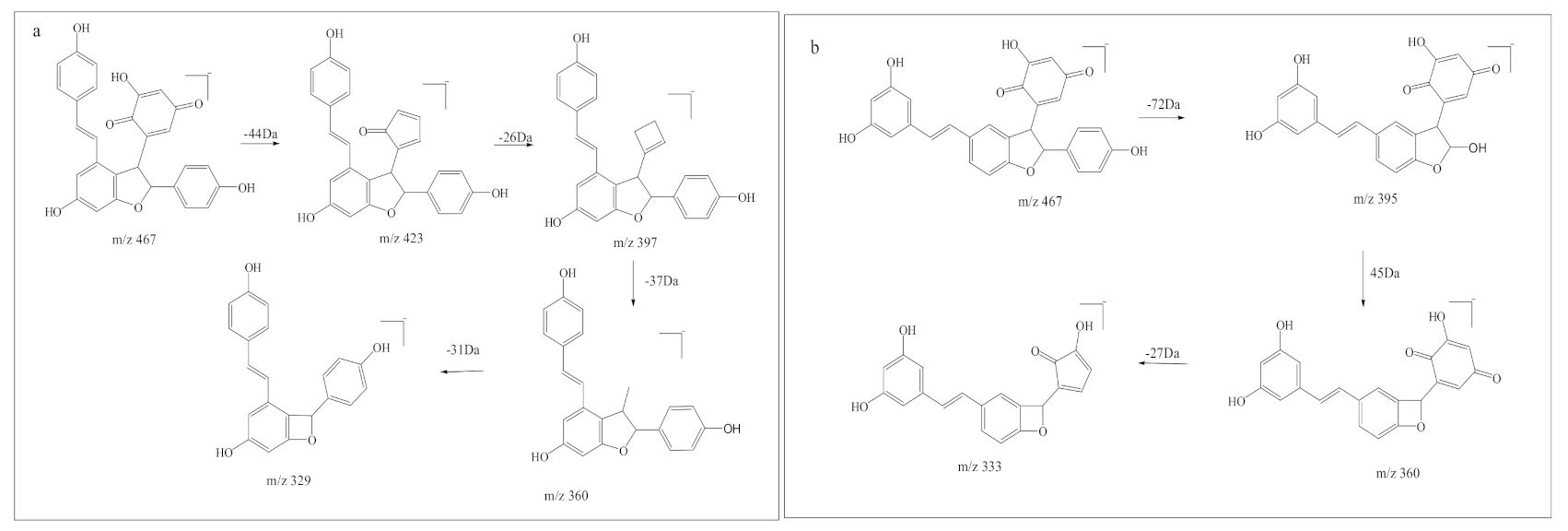 Biomedicines 09 00271 g005
