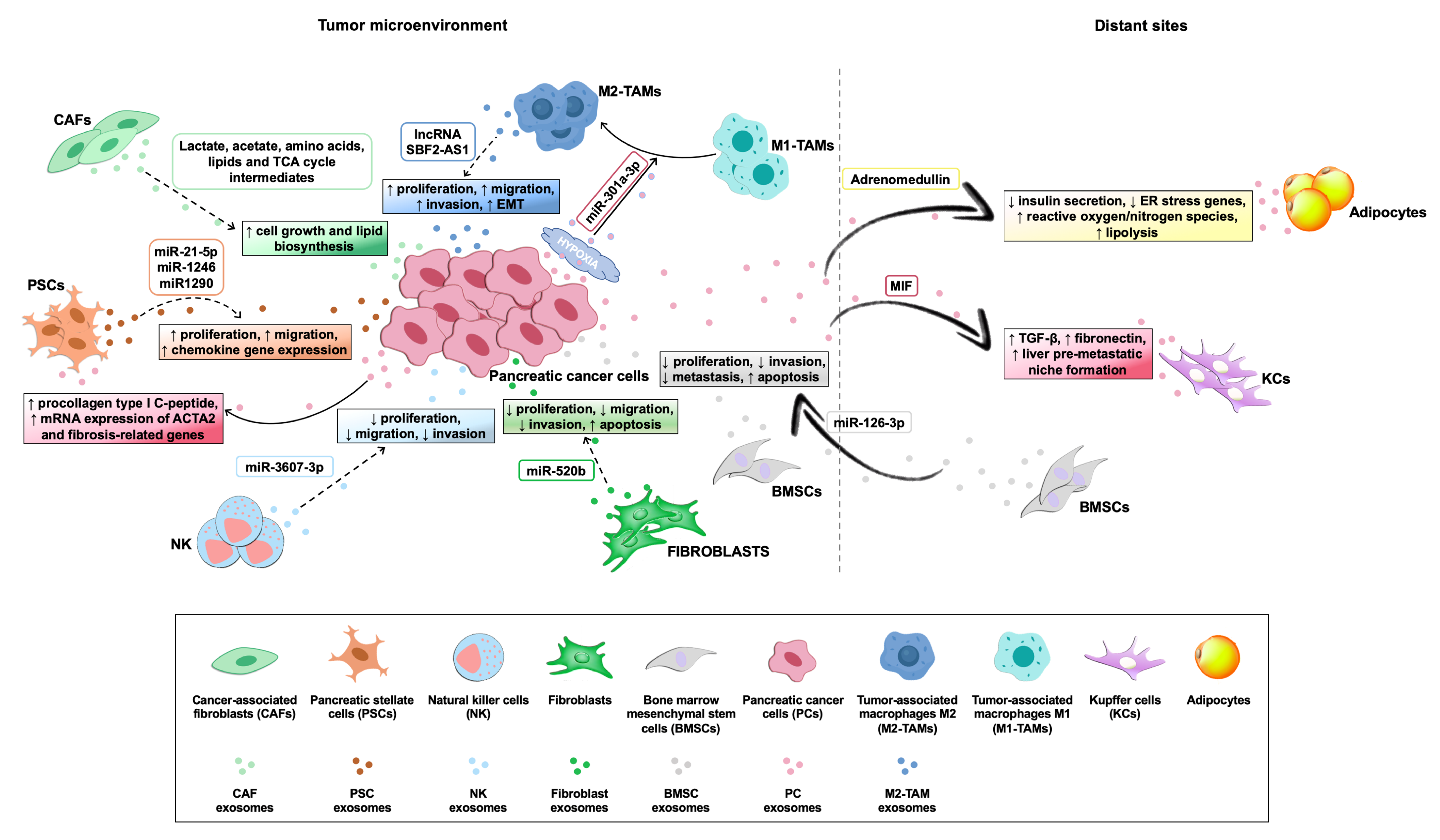Biomedicines 09 00275 g003