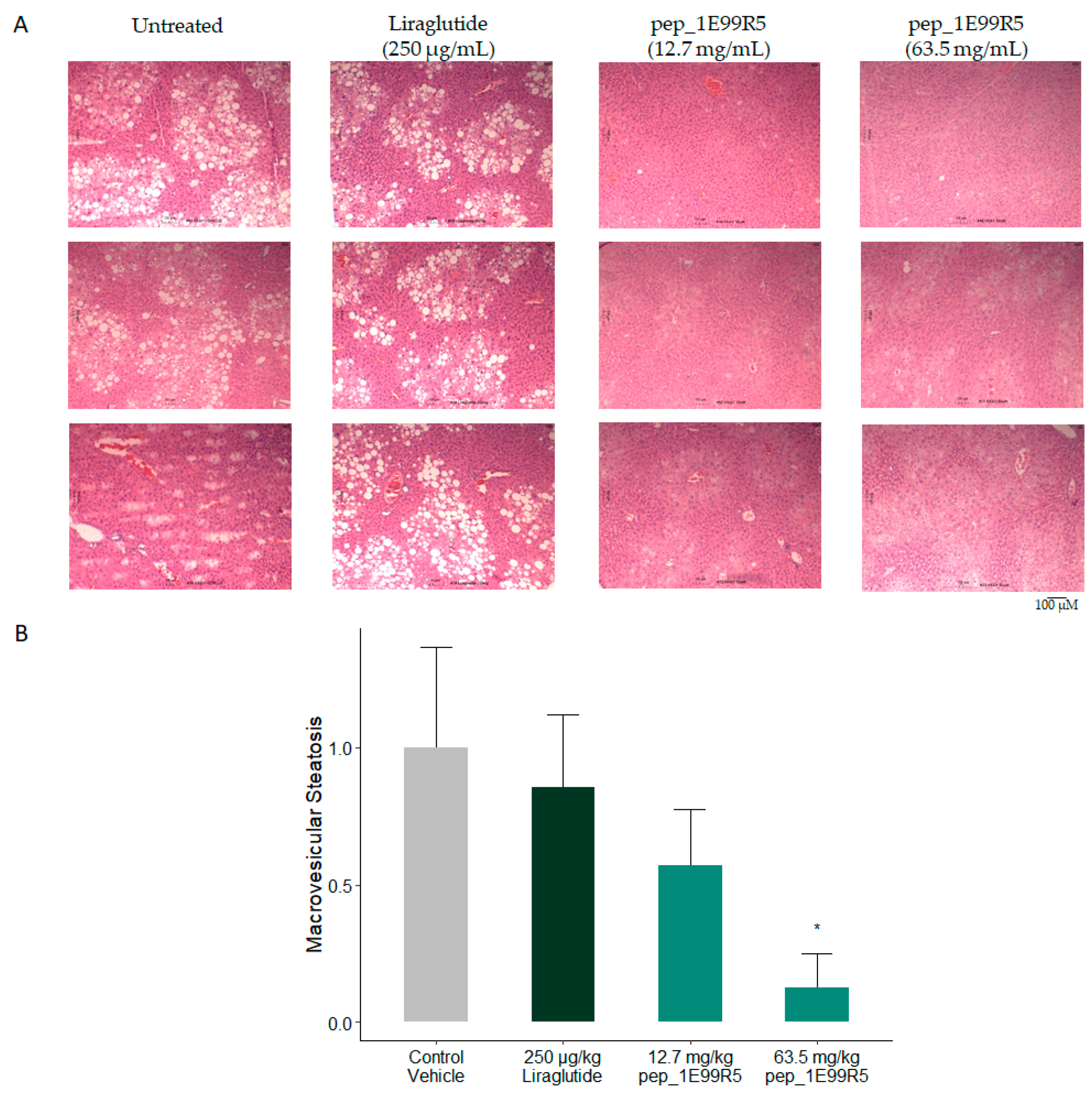 Biomedicines 09 00276 g005