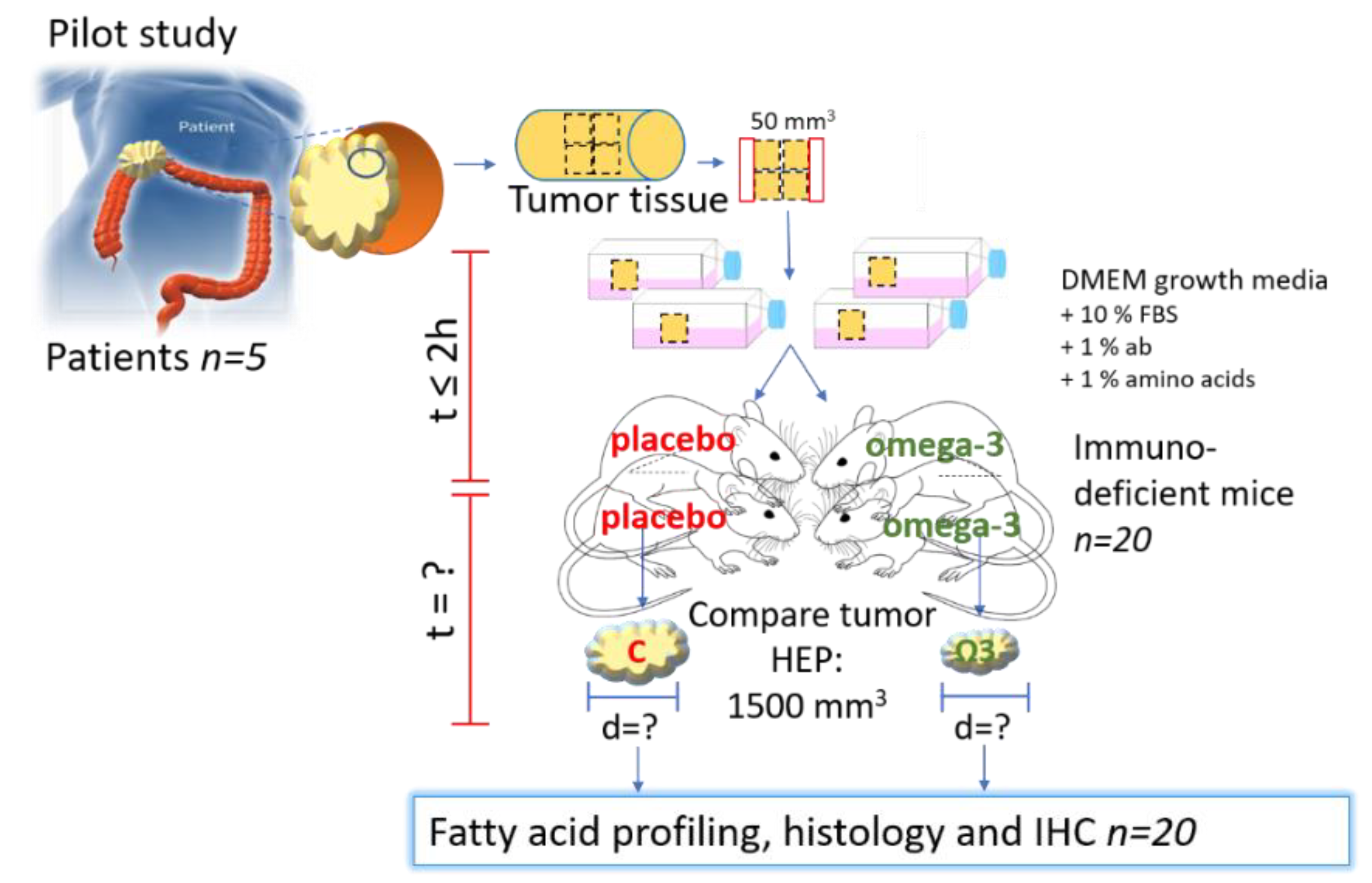 Biomedicines 09 00282 g004 Biomedicines 09 00282 g004