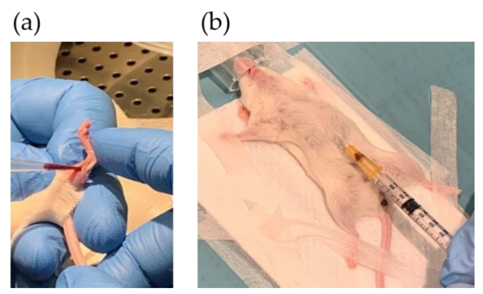 Biomedicines 09 00282 g005 Biomedicines 09 00282 g005