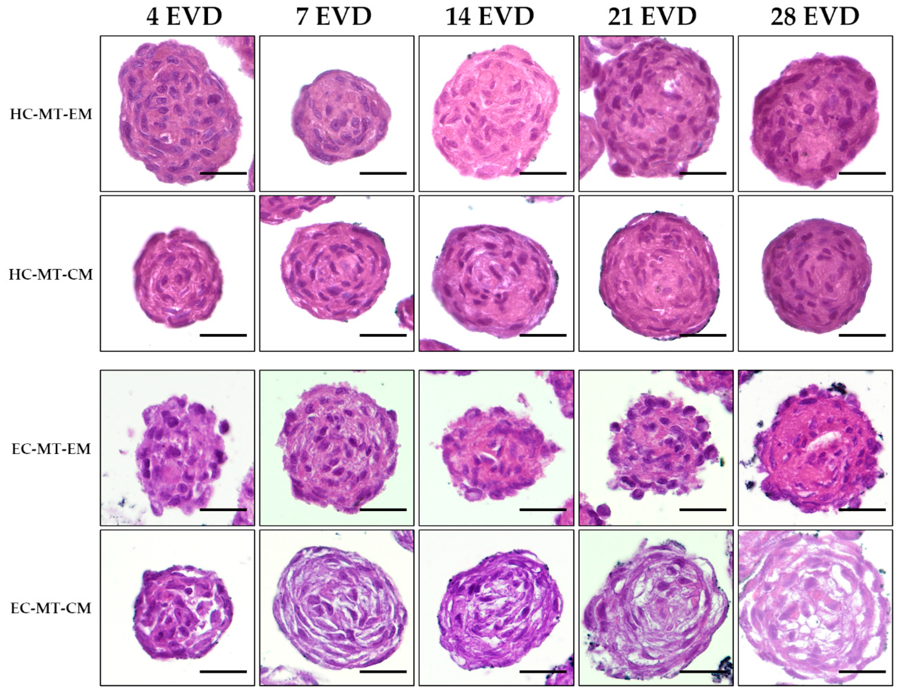 Biomedicines 09 00292 g005