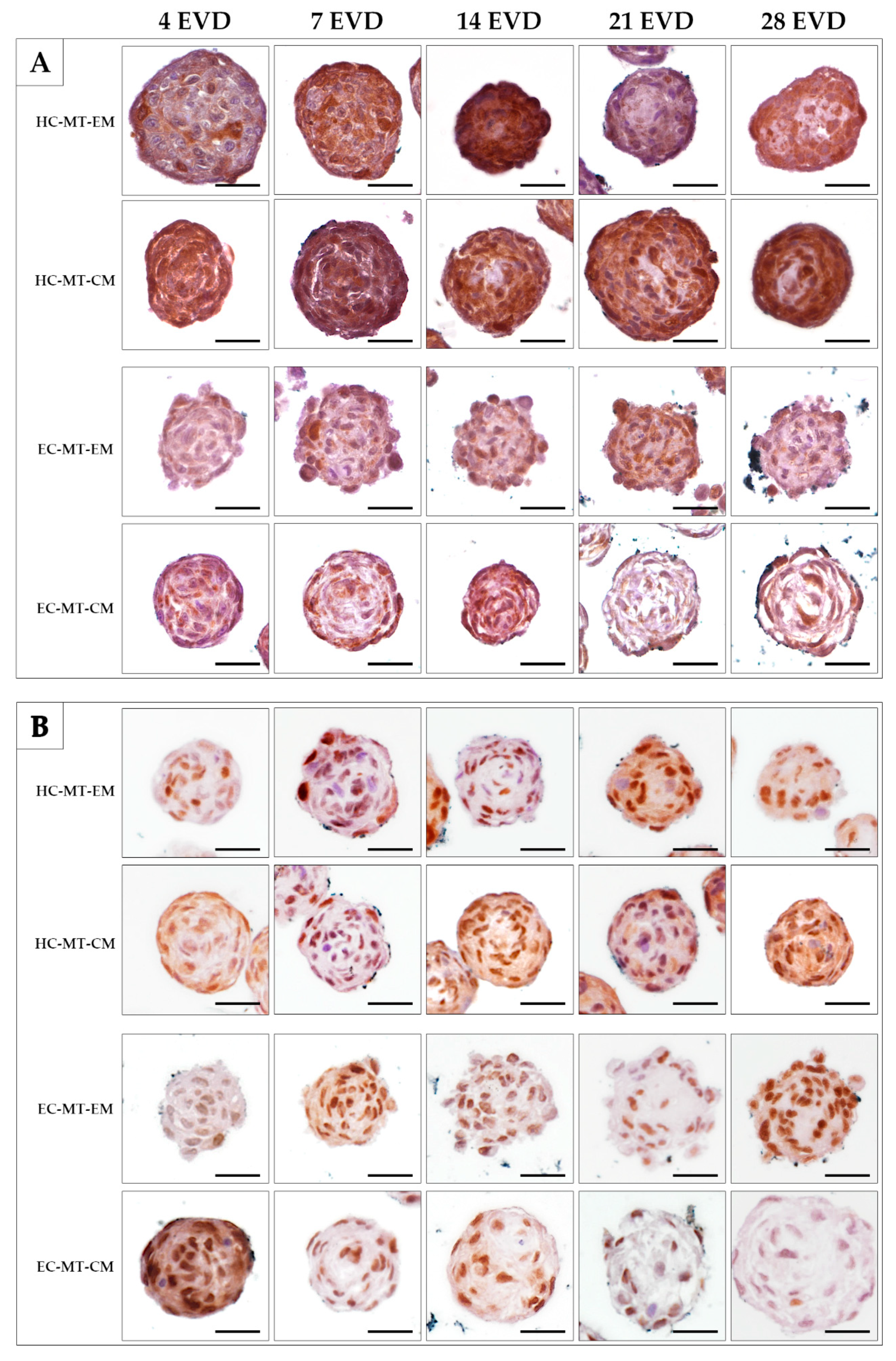 Biomedicines 09 00292 g006