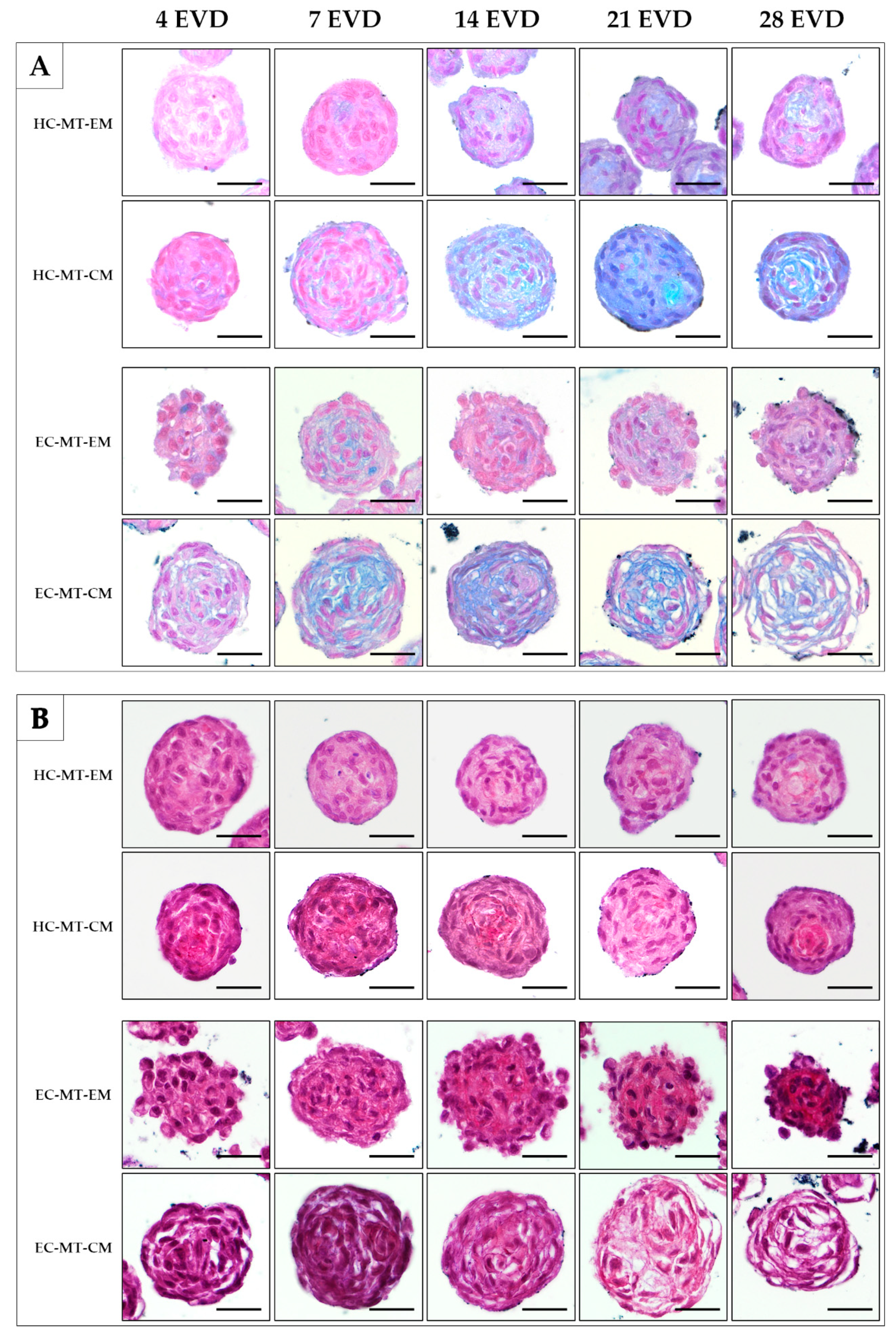 Biomedicines 09 00292 g007