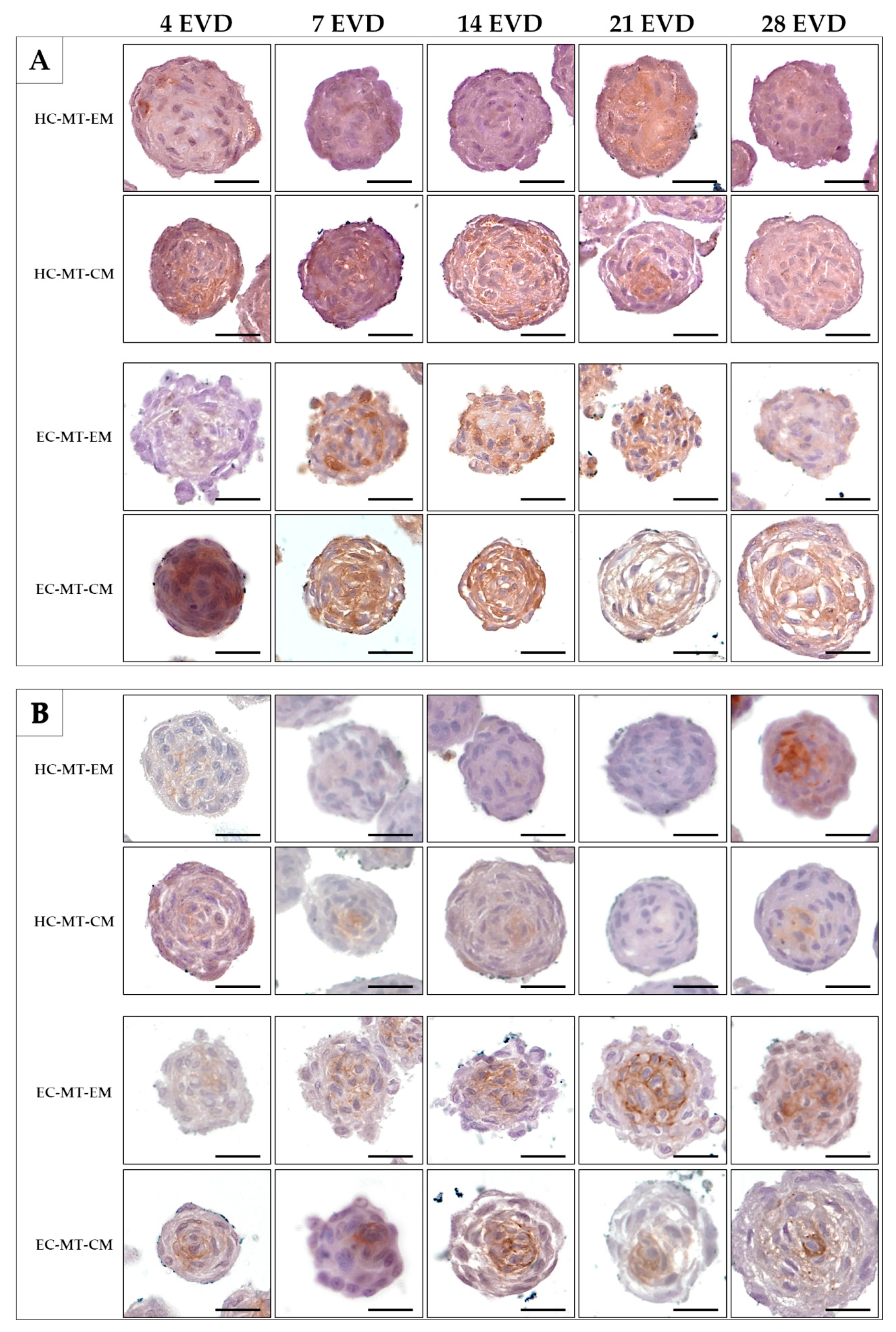 Biomedicines 09 00292 g008