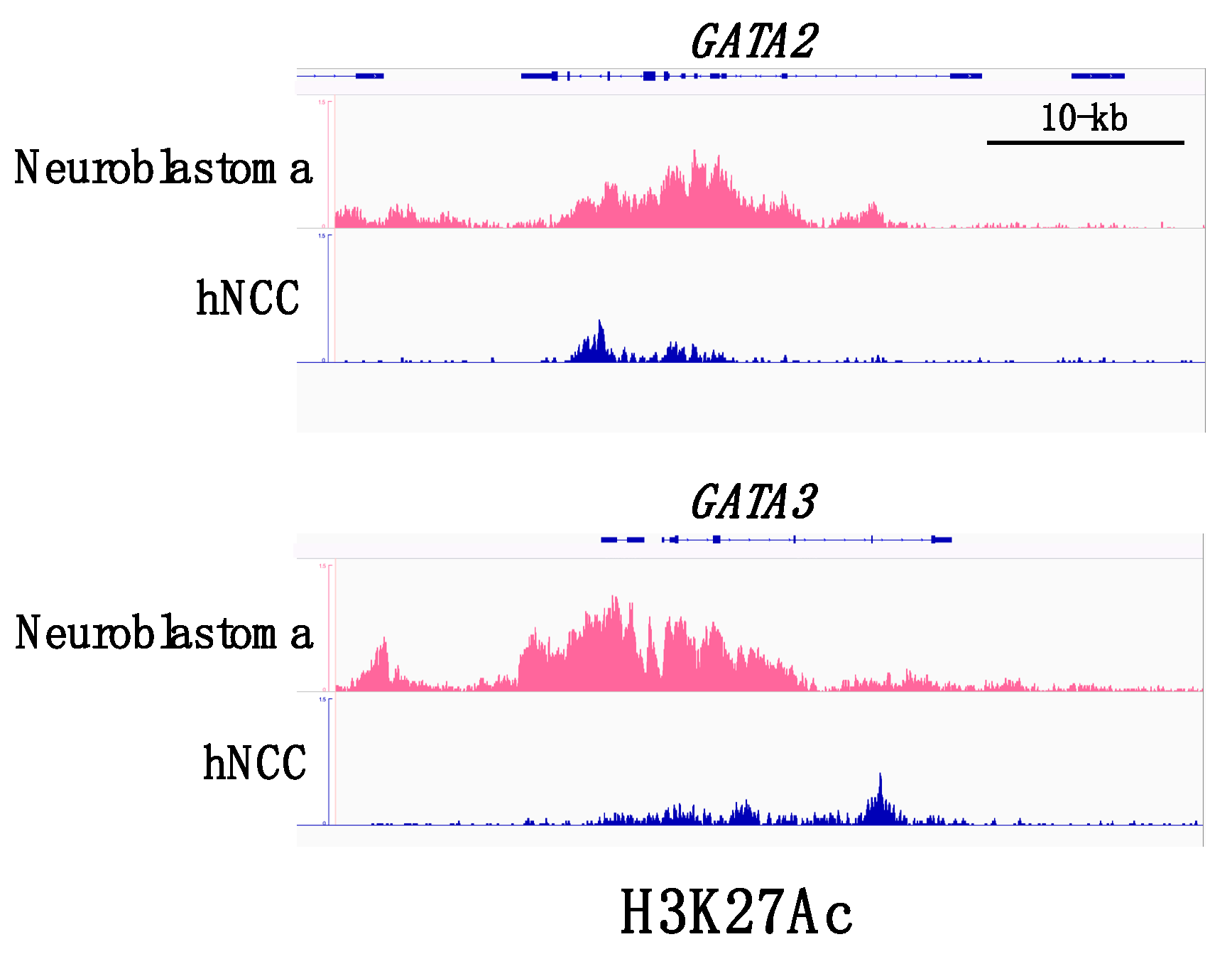 Biomedicines 09 00299 g002