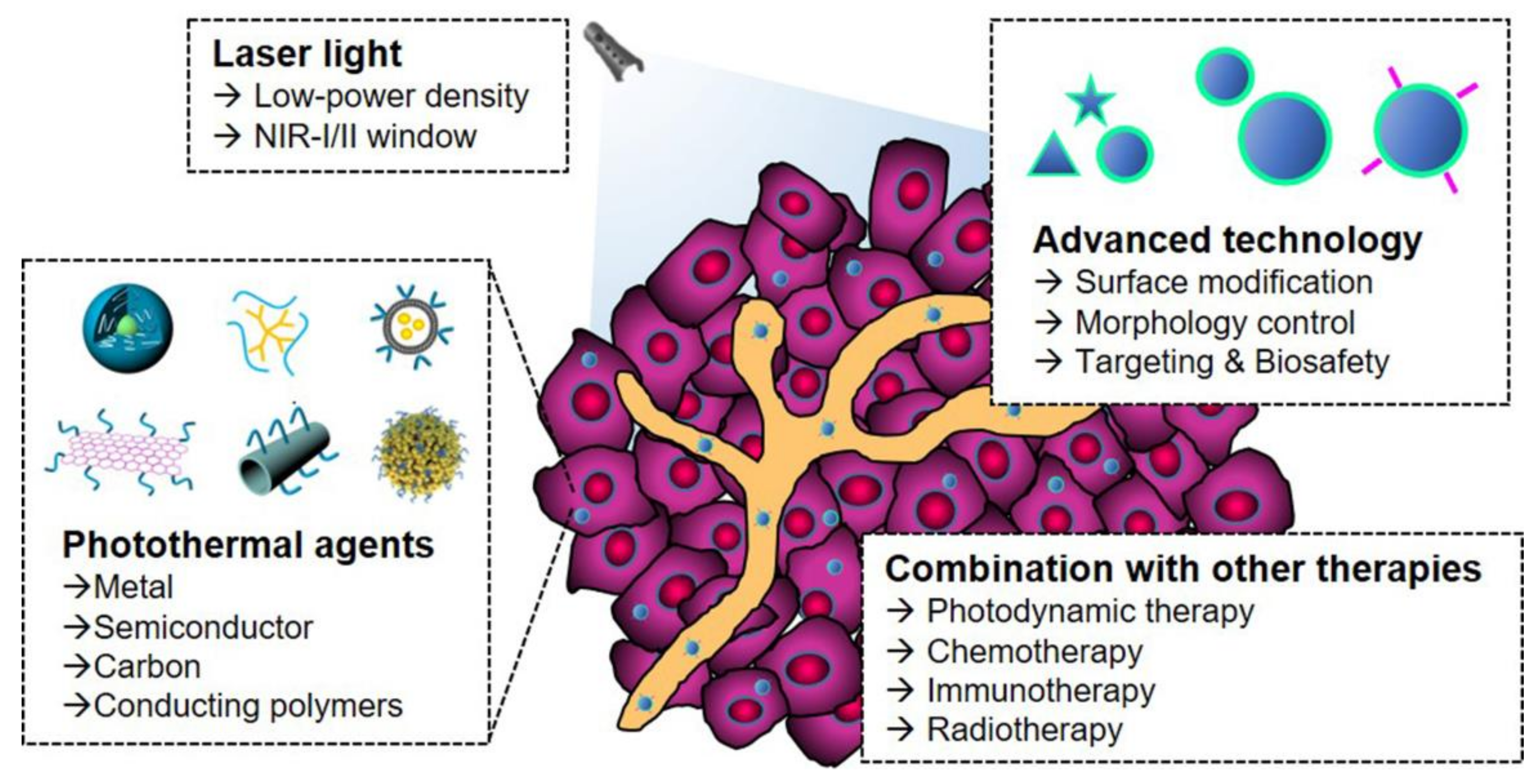 Biomedicines 09 00305 g001