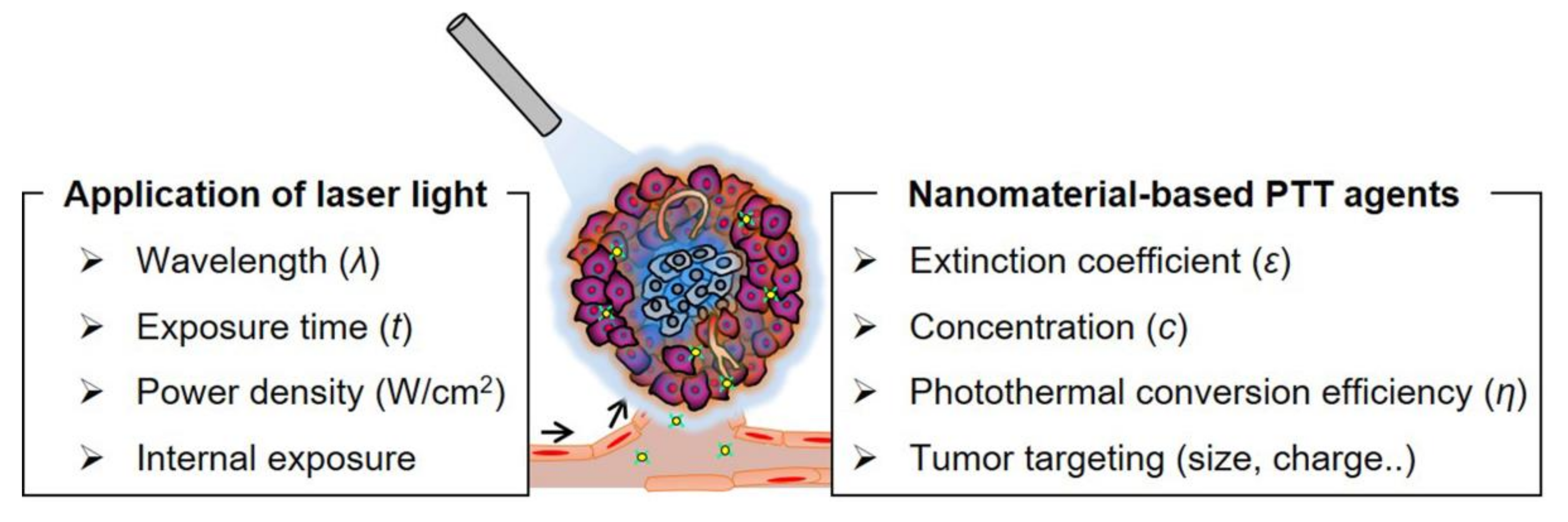Biomedicines 09 00305 g005