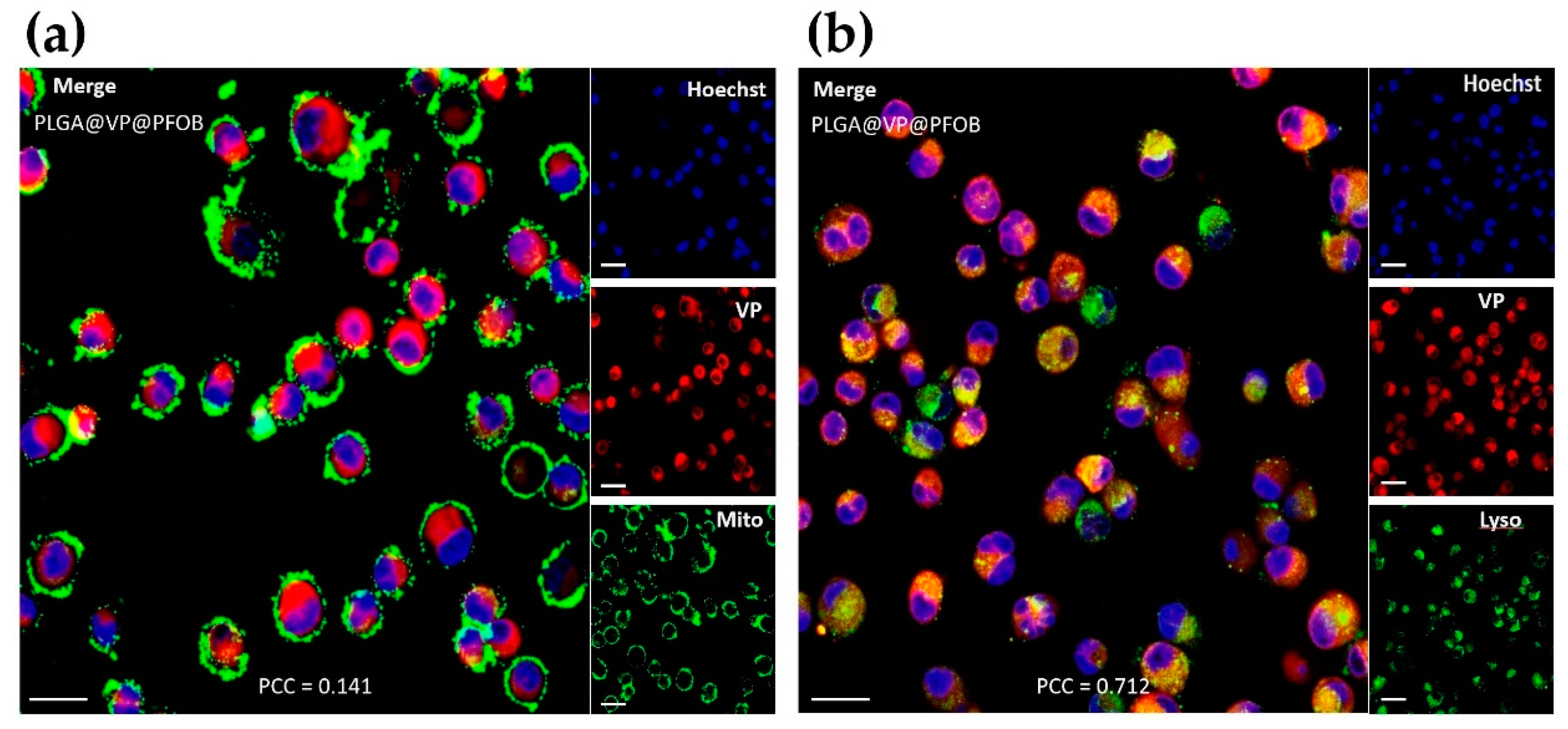 Biomedicines 09 00322 g002