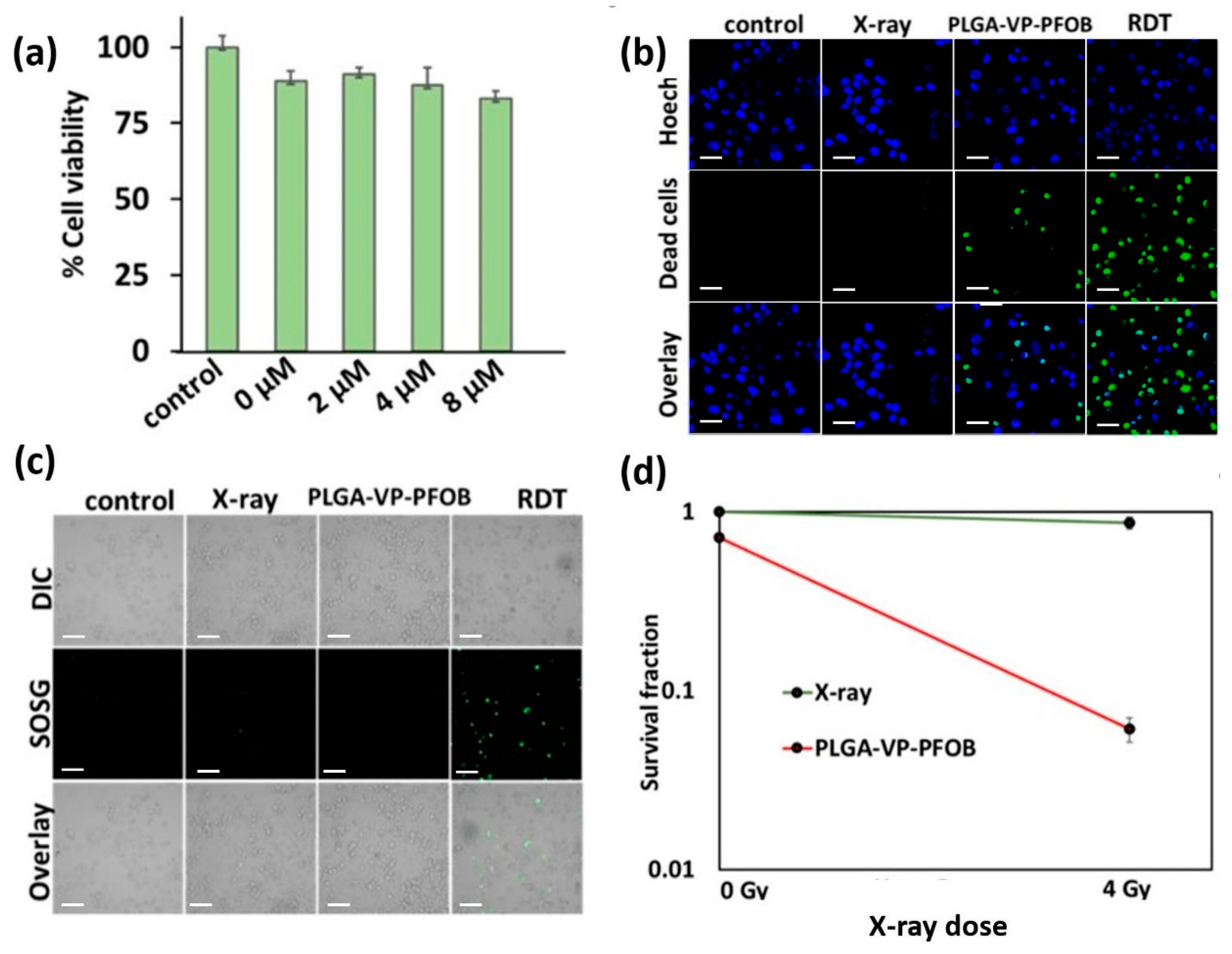 Biomedicines 09 00322 g003