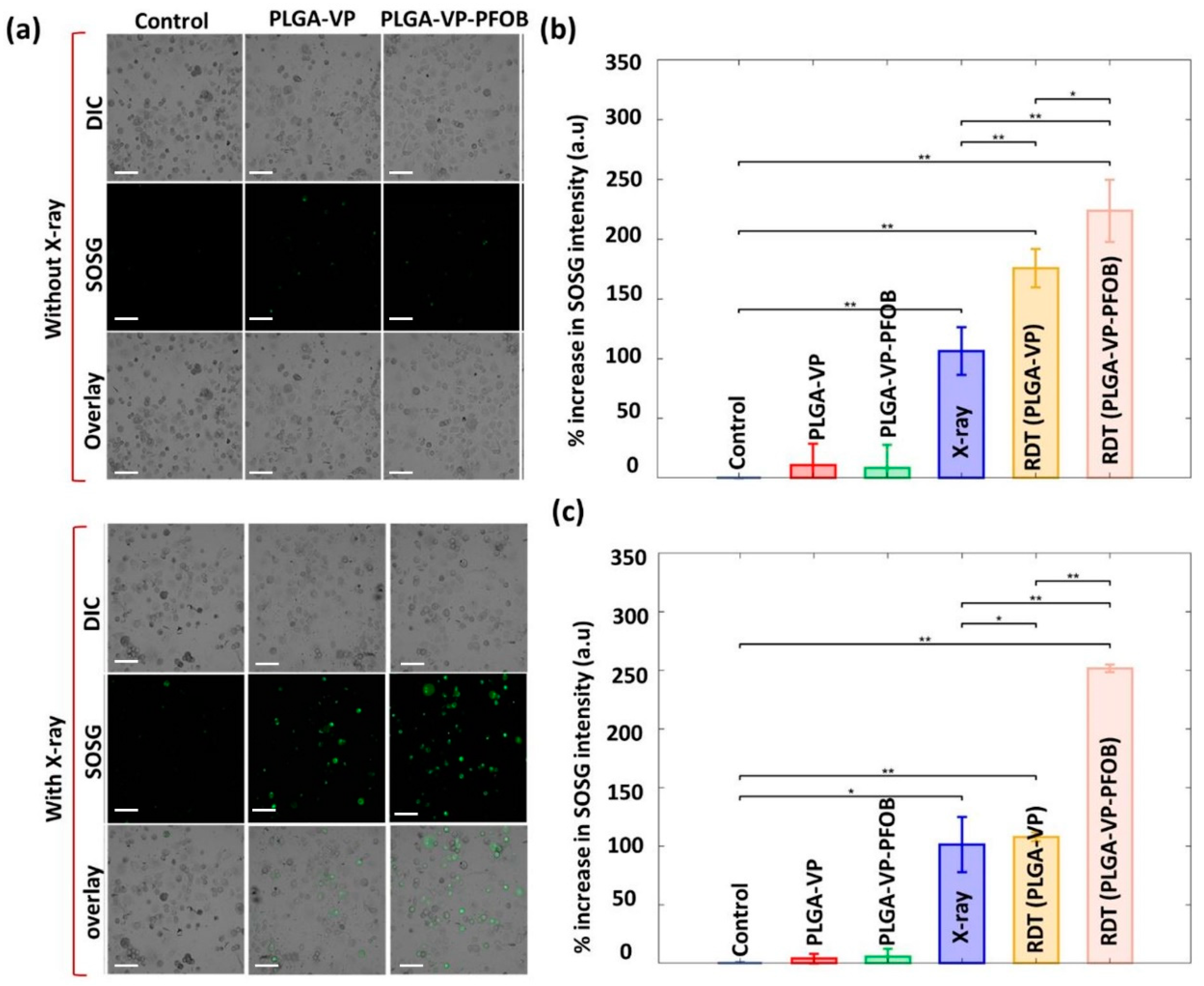 Biomedicines 09 00322 g004
