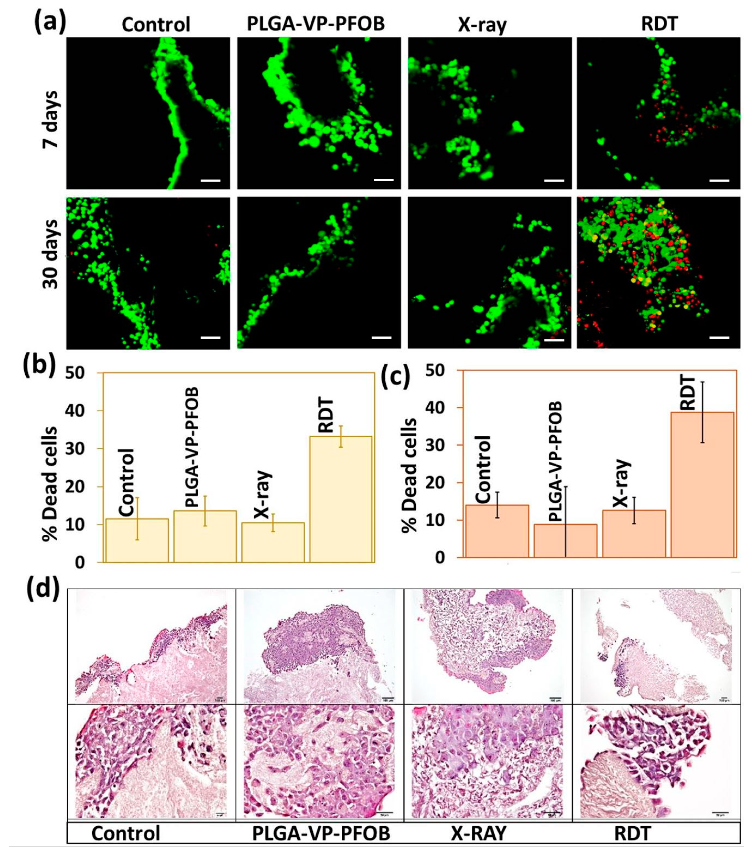 Biomedicines 09 00322 g005
