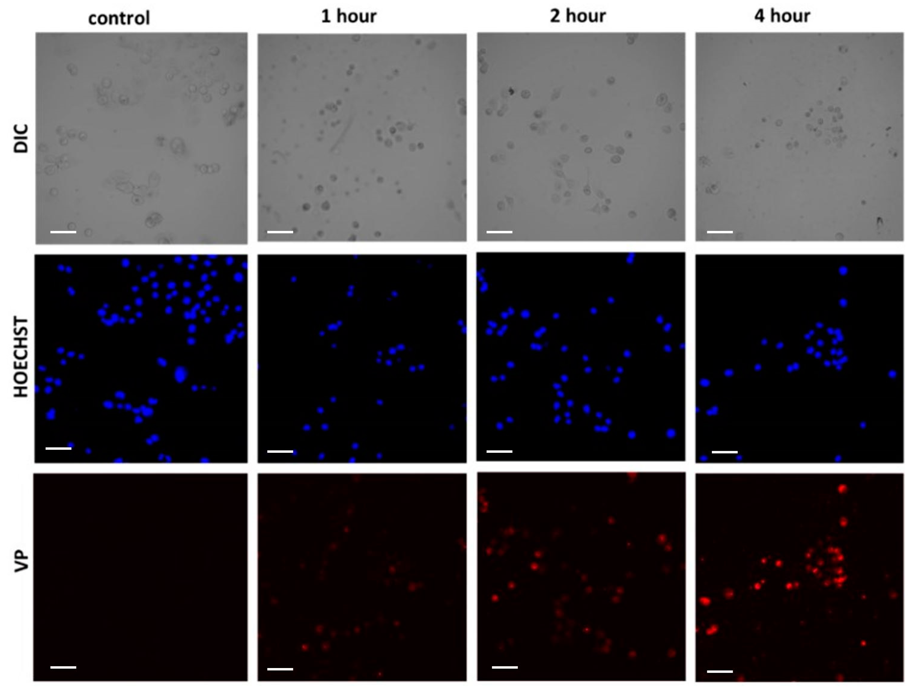 Biomedicines 09 00322 g0a2