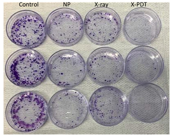 Biomedicines 09 00322 g0a5