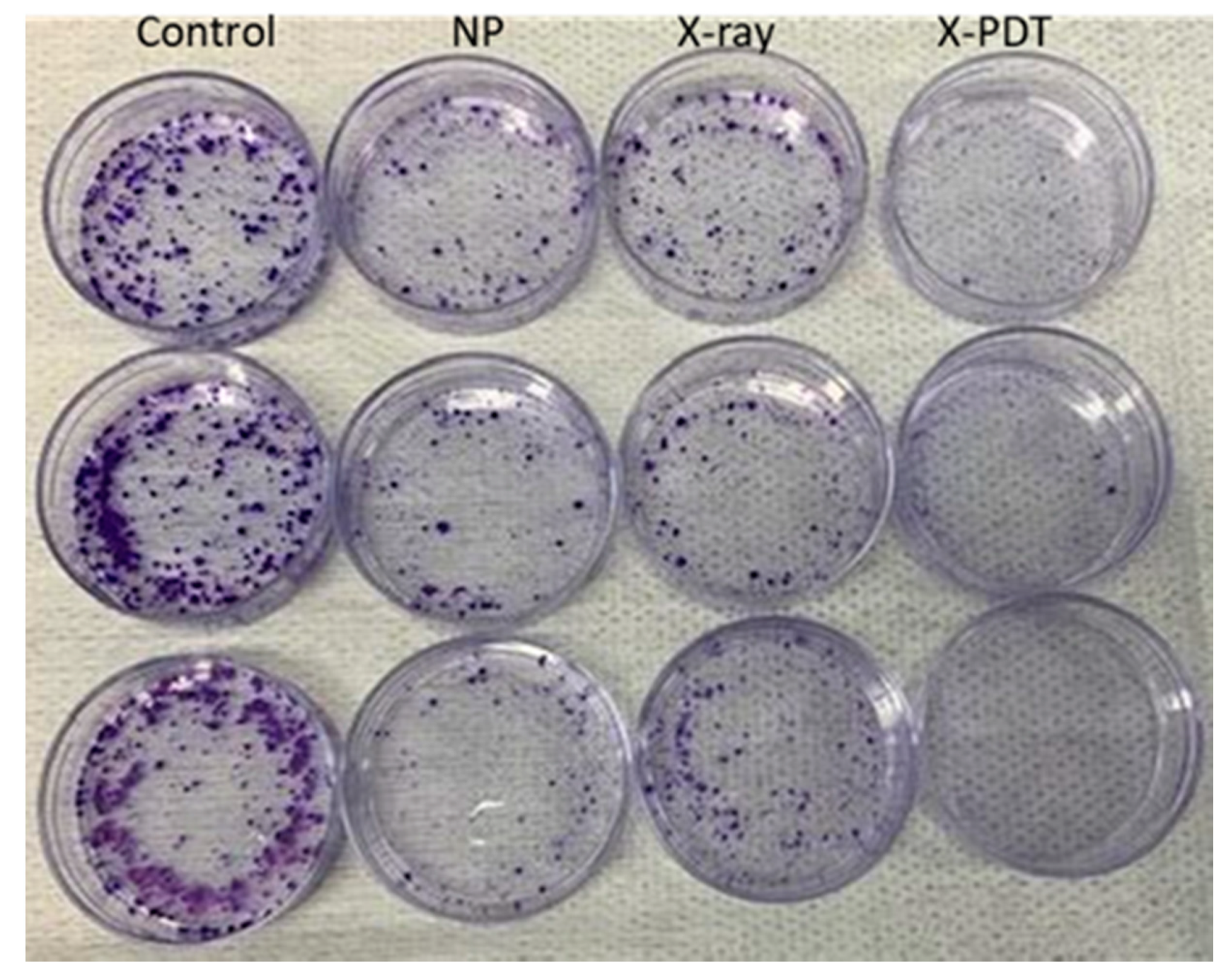 Biomedicines 09 00322 g0a5