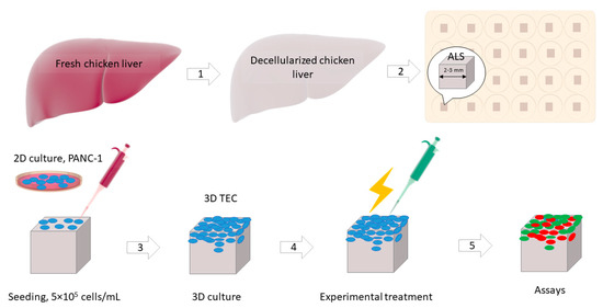 Biomedicines 09 00322 g0a6