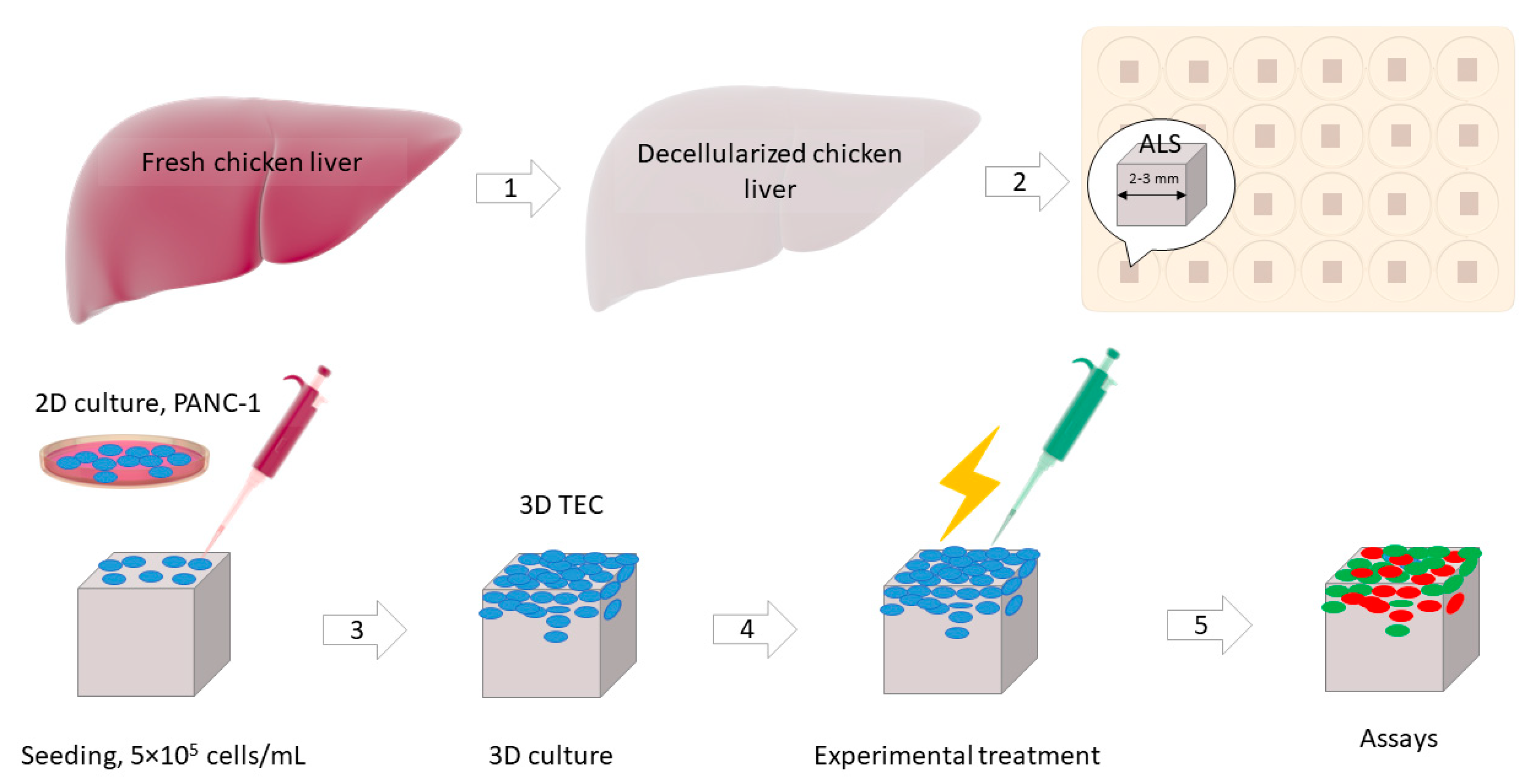 Biomedicines 09 00322 g0a6