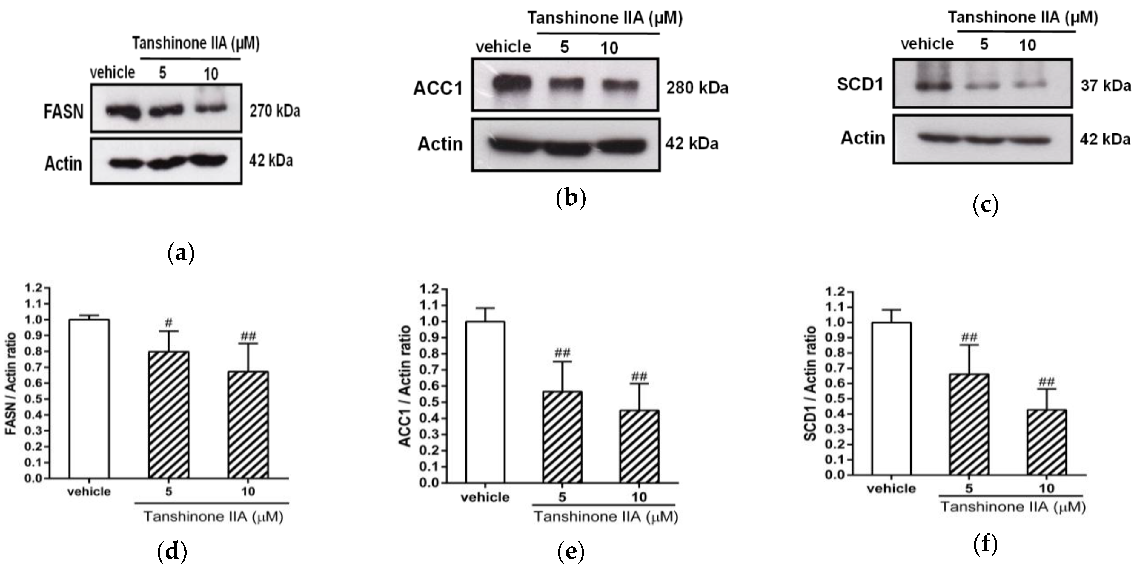 Biomedicines 09 00326 g003