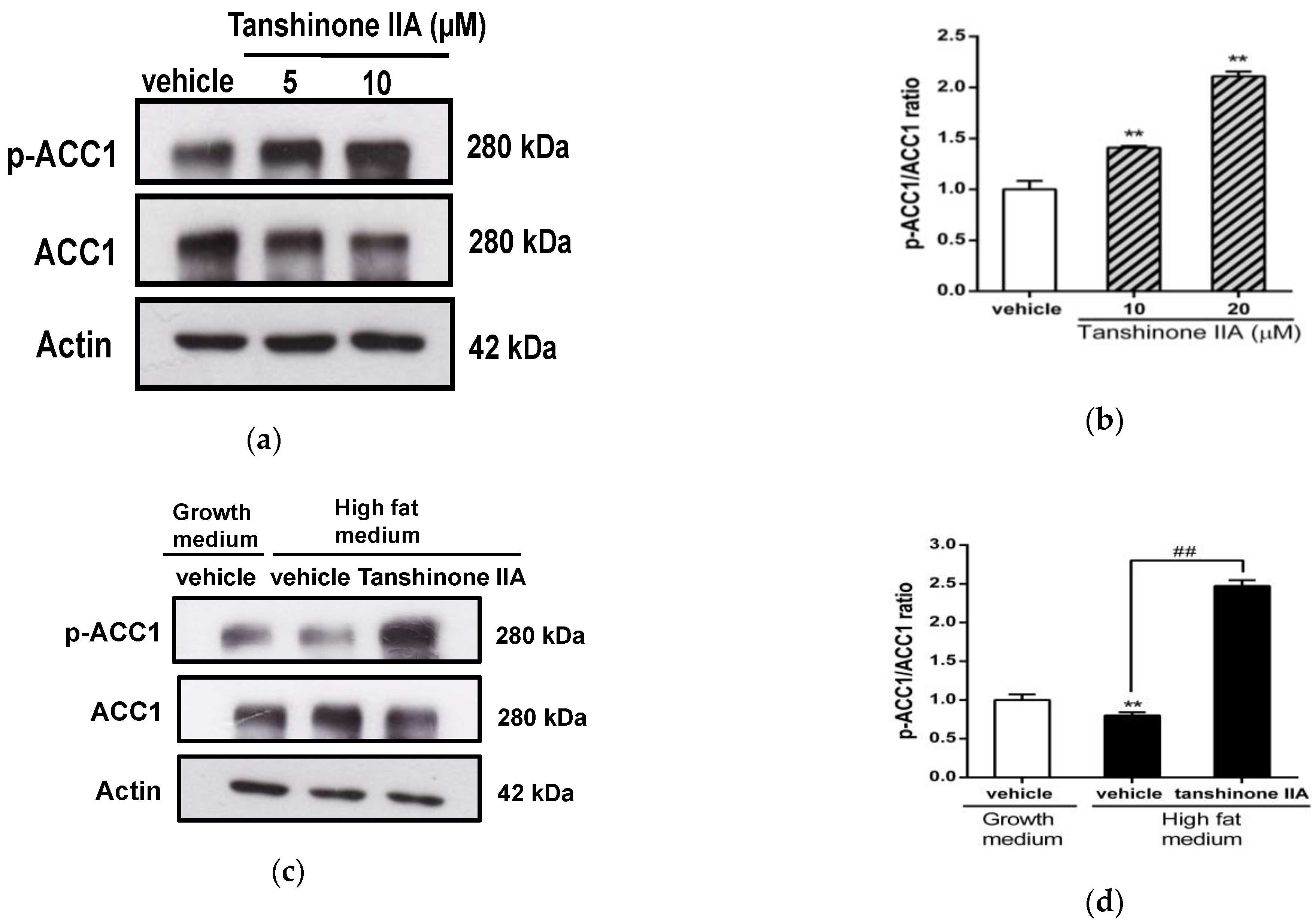 Biomedicines 09 00326 g004