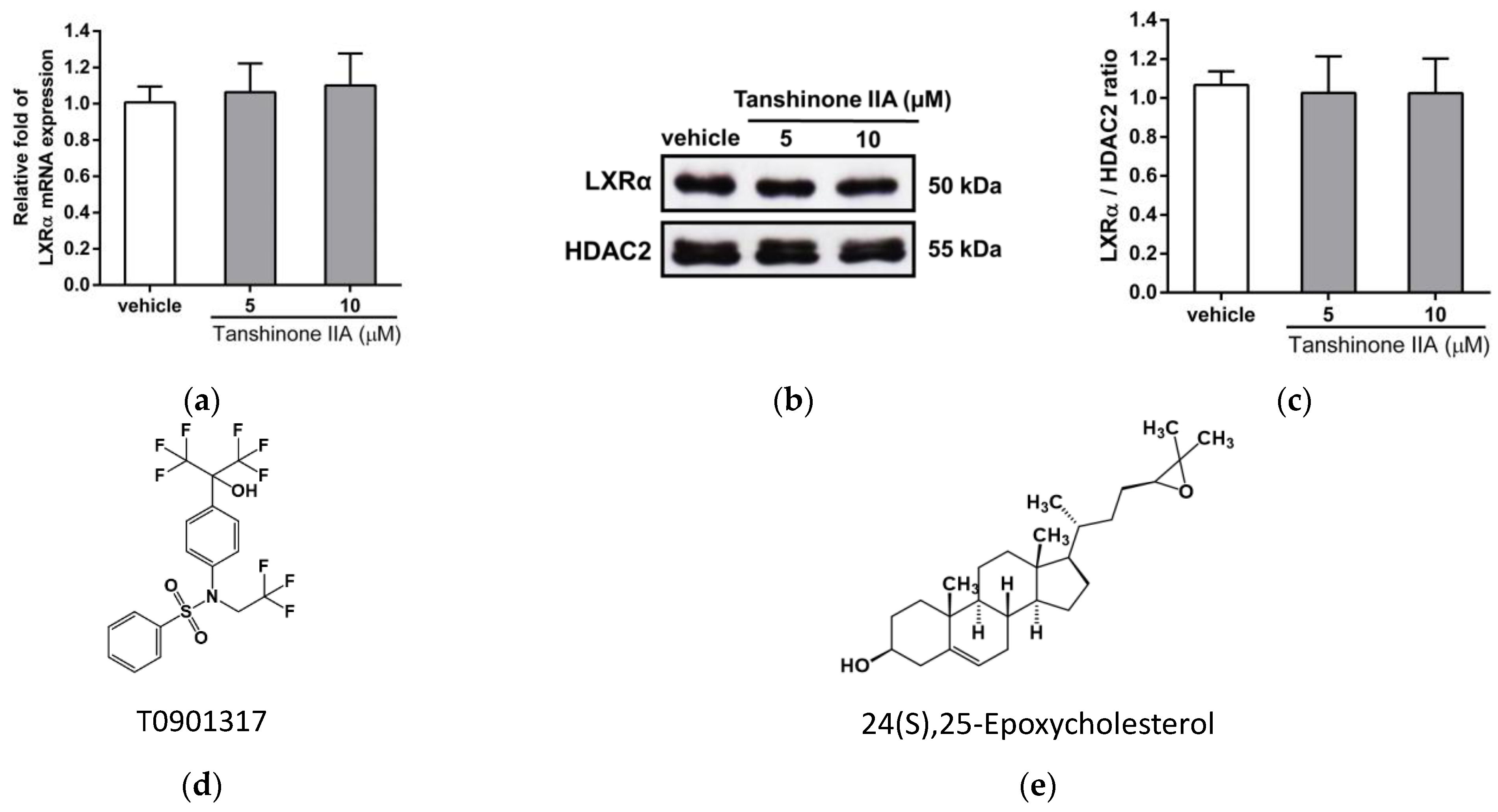 Biomedicines 09 00326 g007a