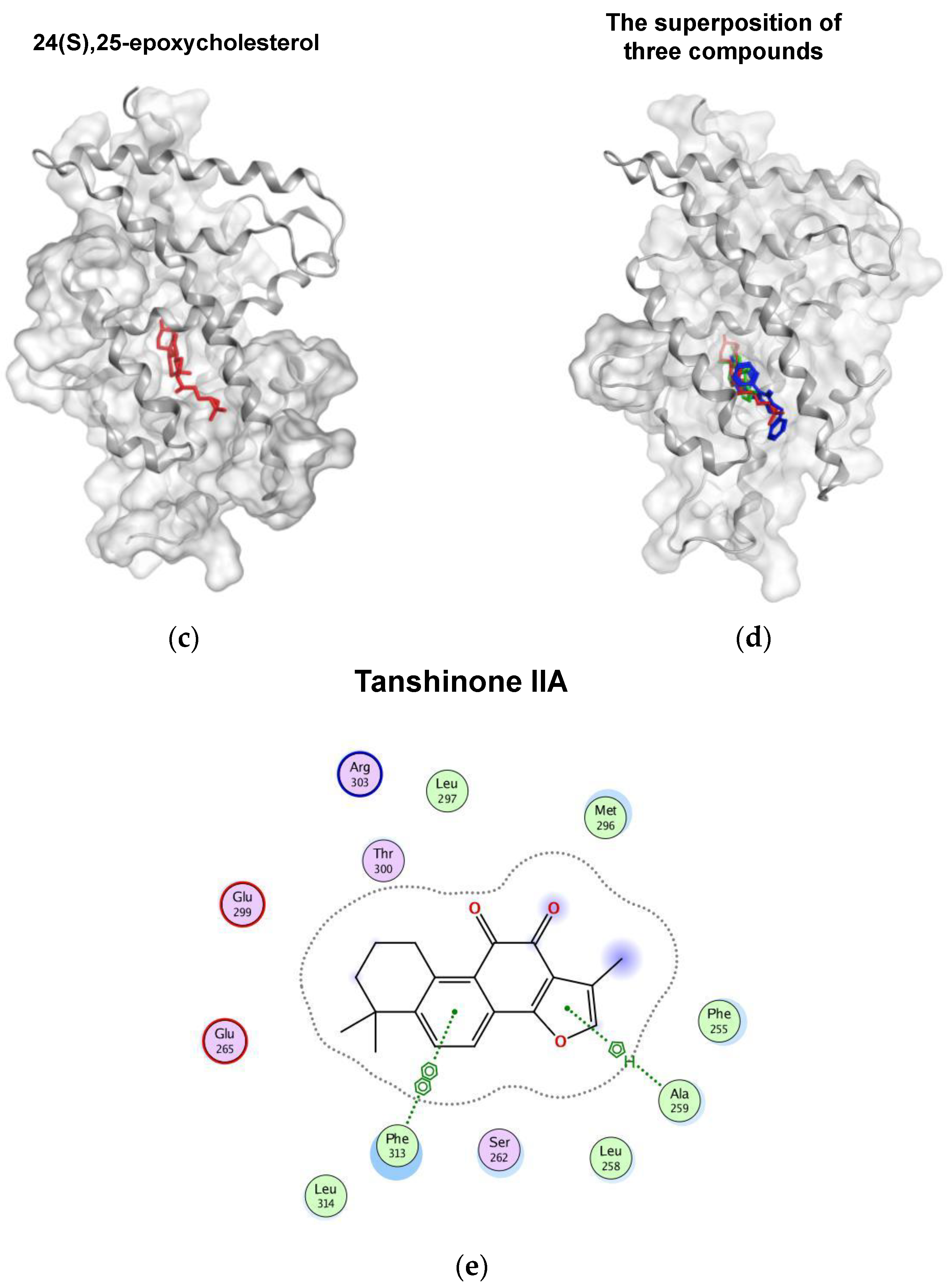 Biomedicines 09 00326 g009b