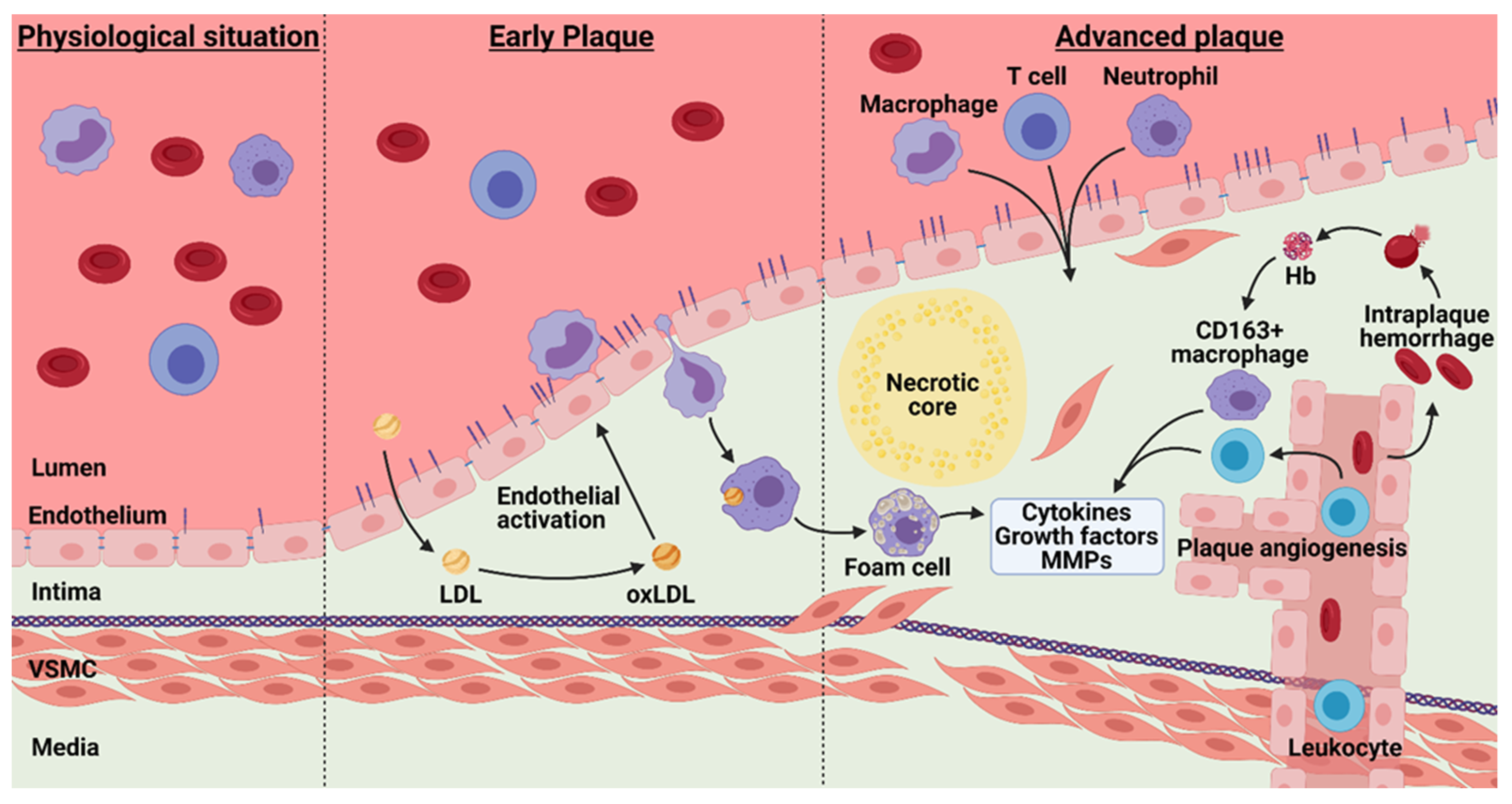 Biomedicines 09 00328 g003 Biomedicines 09 00328 g003