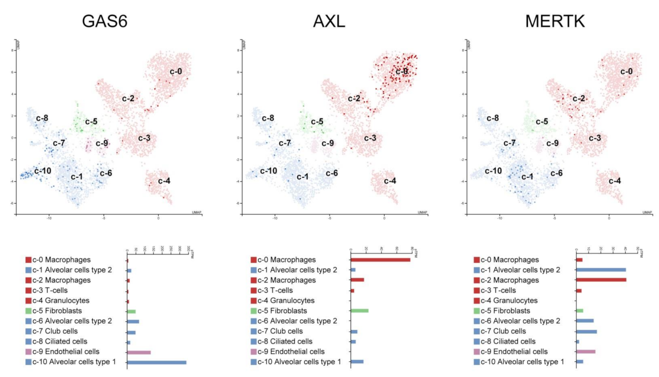 Biomedicines 09 00335 g004