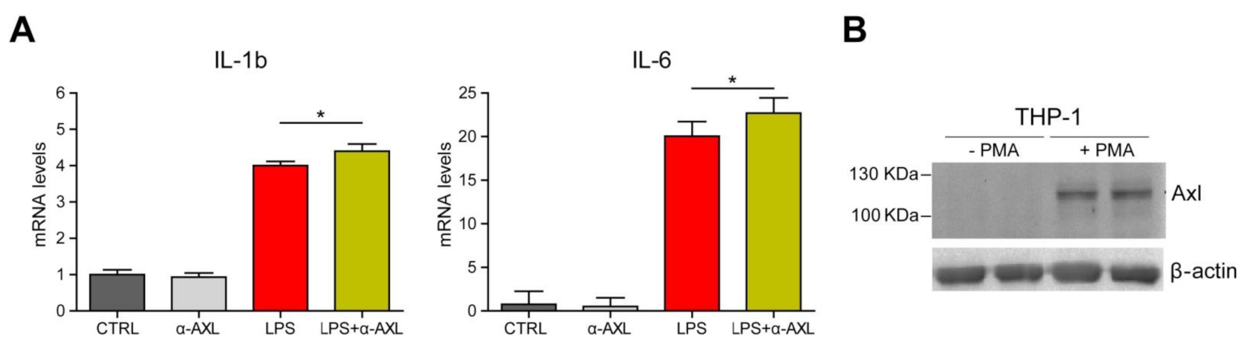 Biomedicines 09 00335 g006