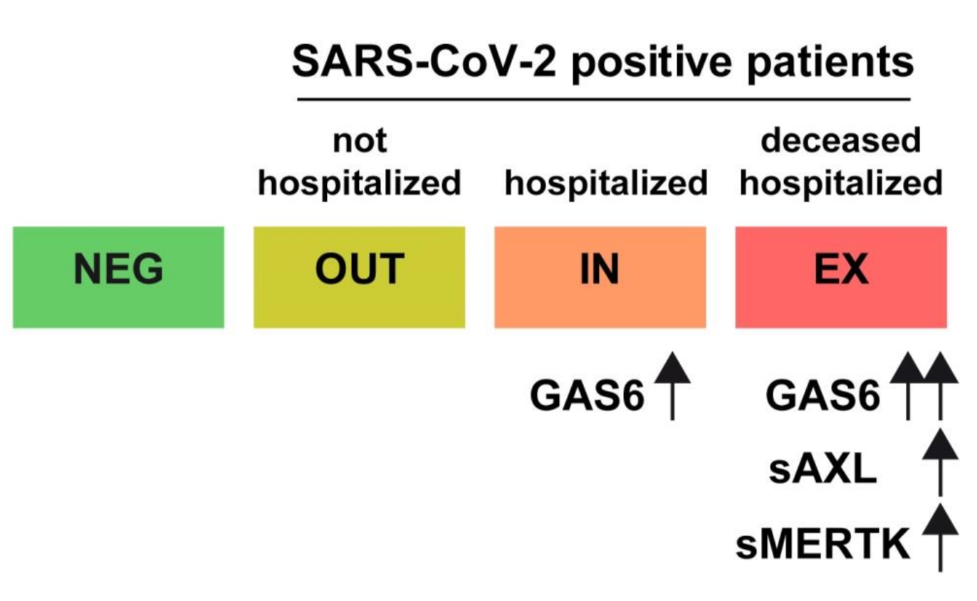 Biomedicines 09 00335 g007