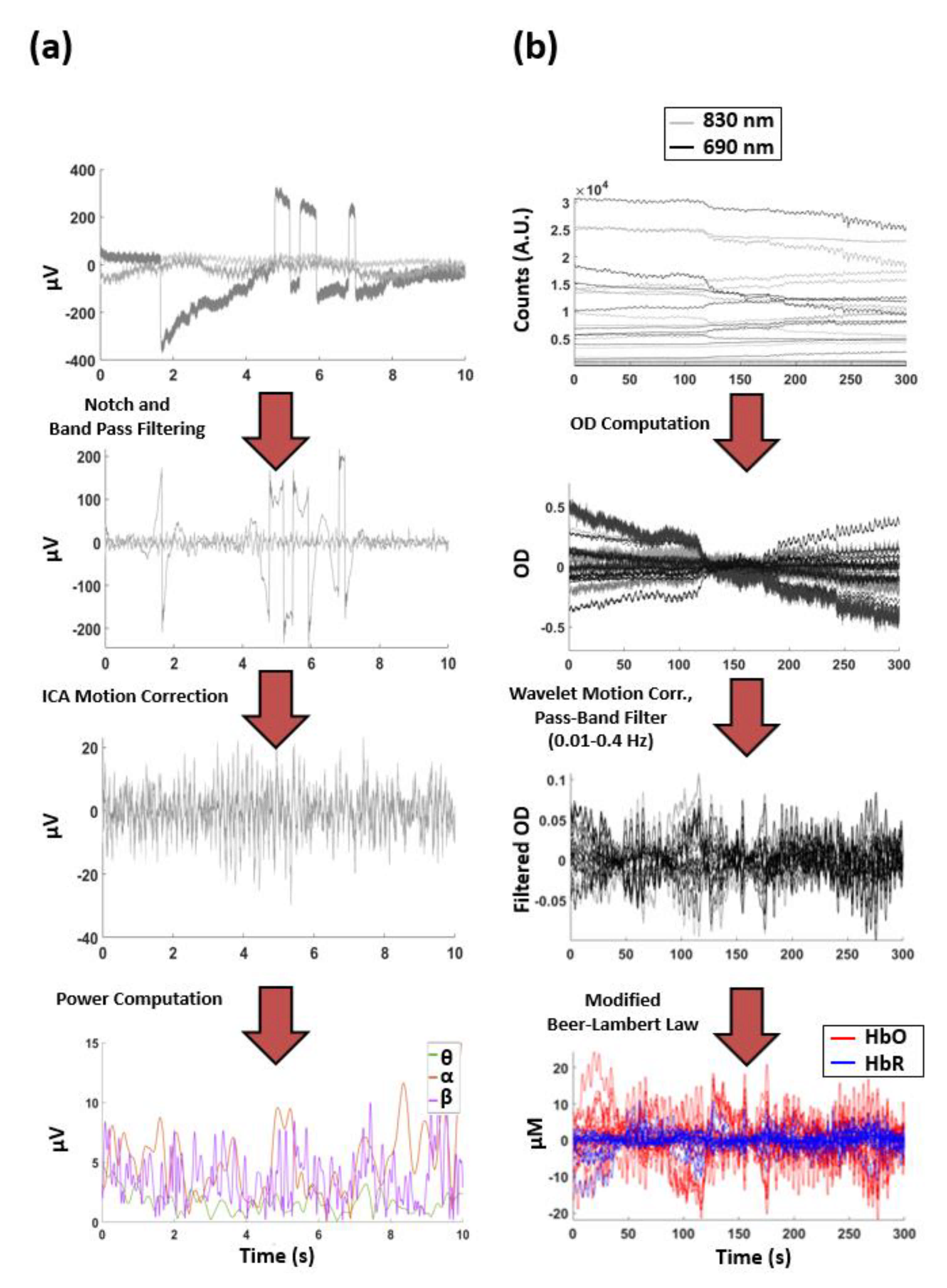 Biomedicines 09 00337 g002