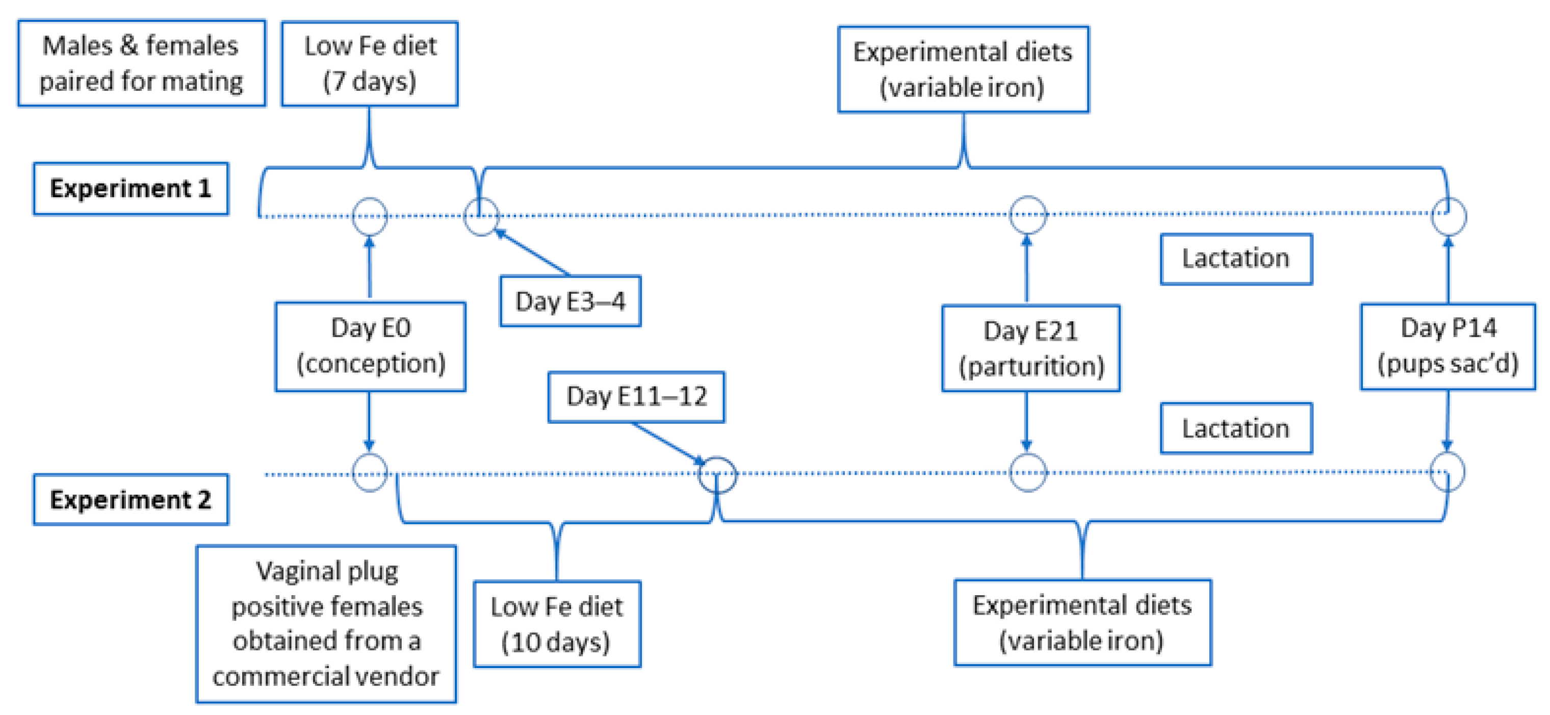 Biomedicines 09 00338 g001
