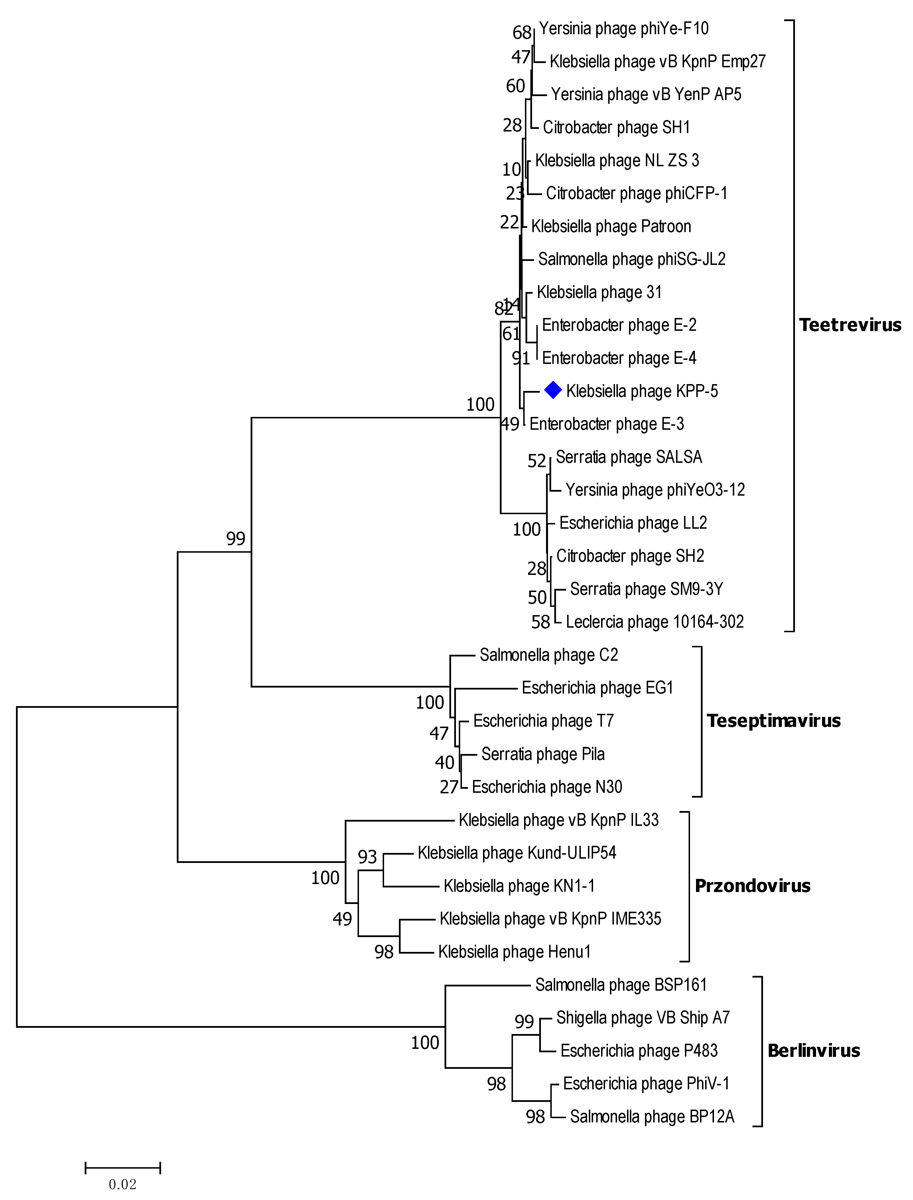 Biomedicines 09 00342 g006