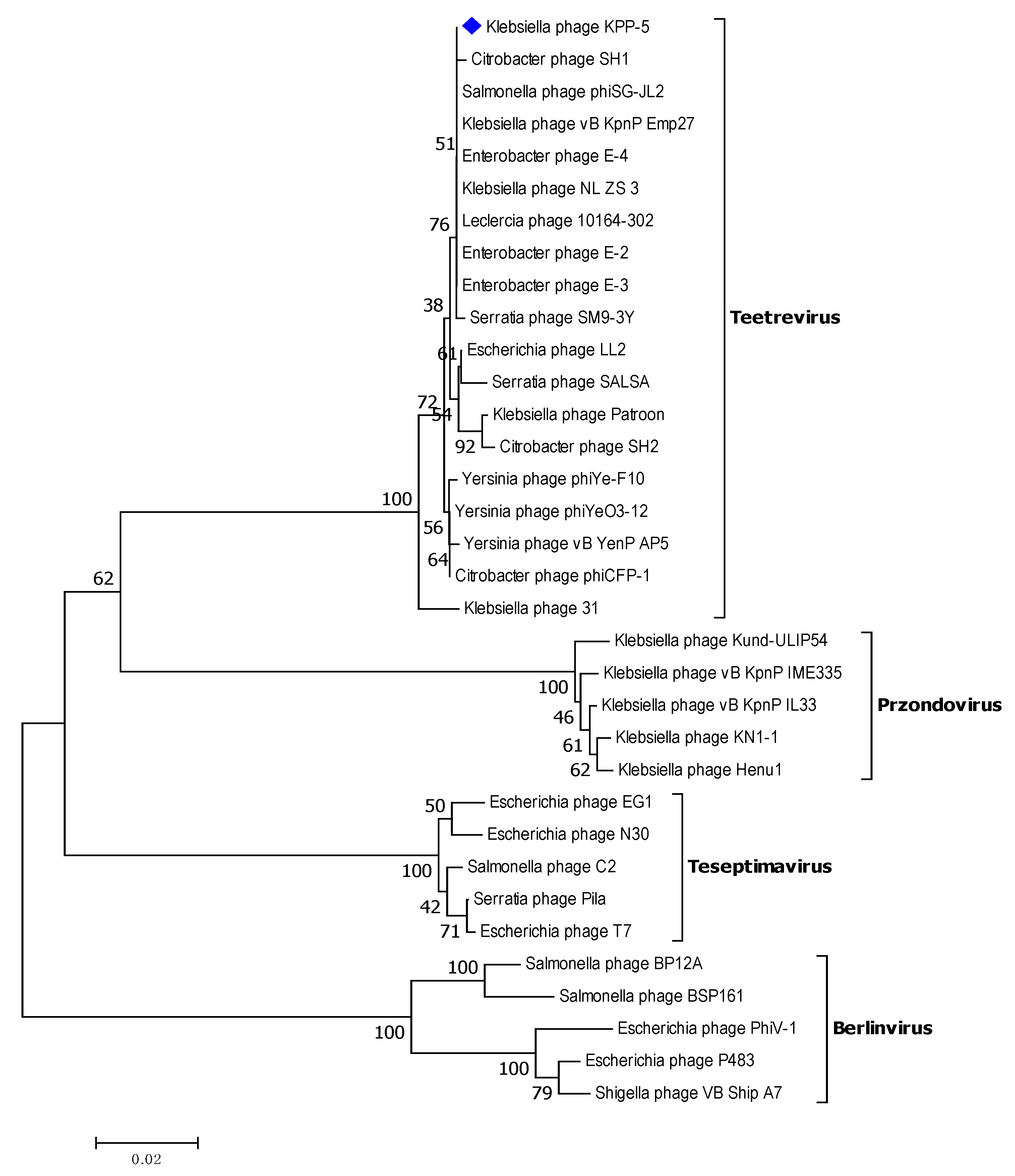 Biomedicines 09 00342 g009