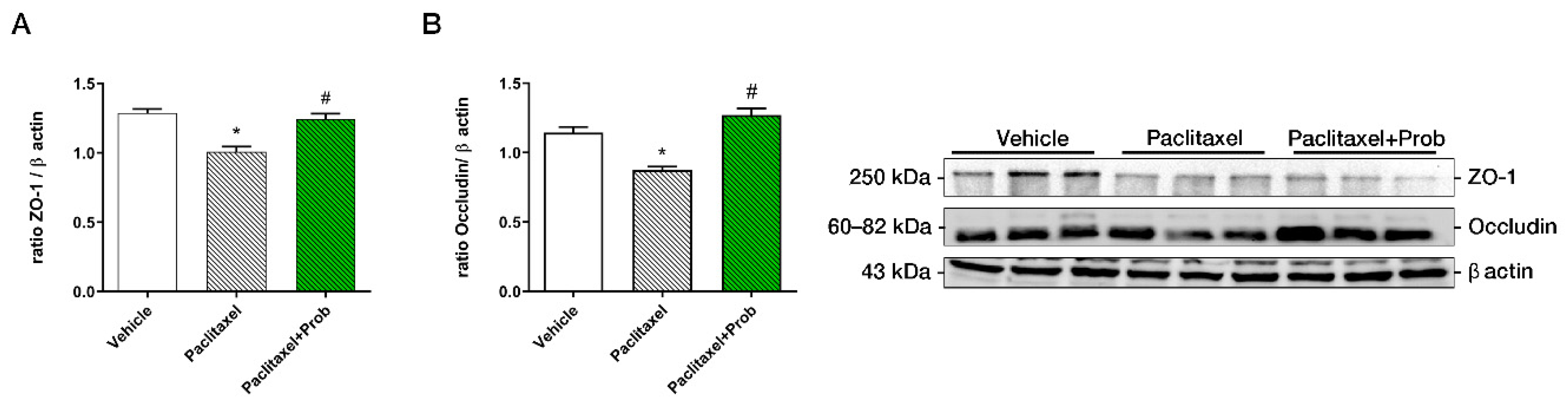 Biomedicines 09 00346 g002 Biomedicines 09 00346 g002