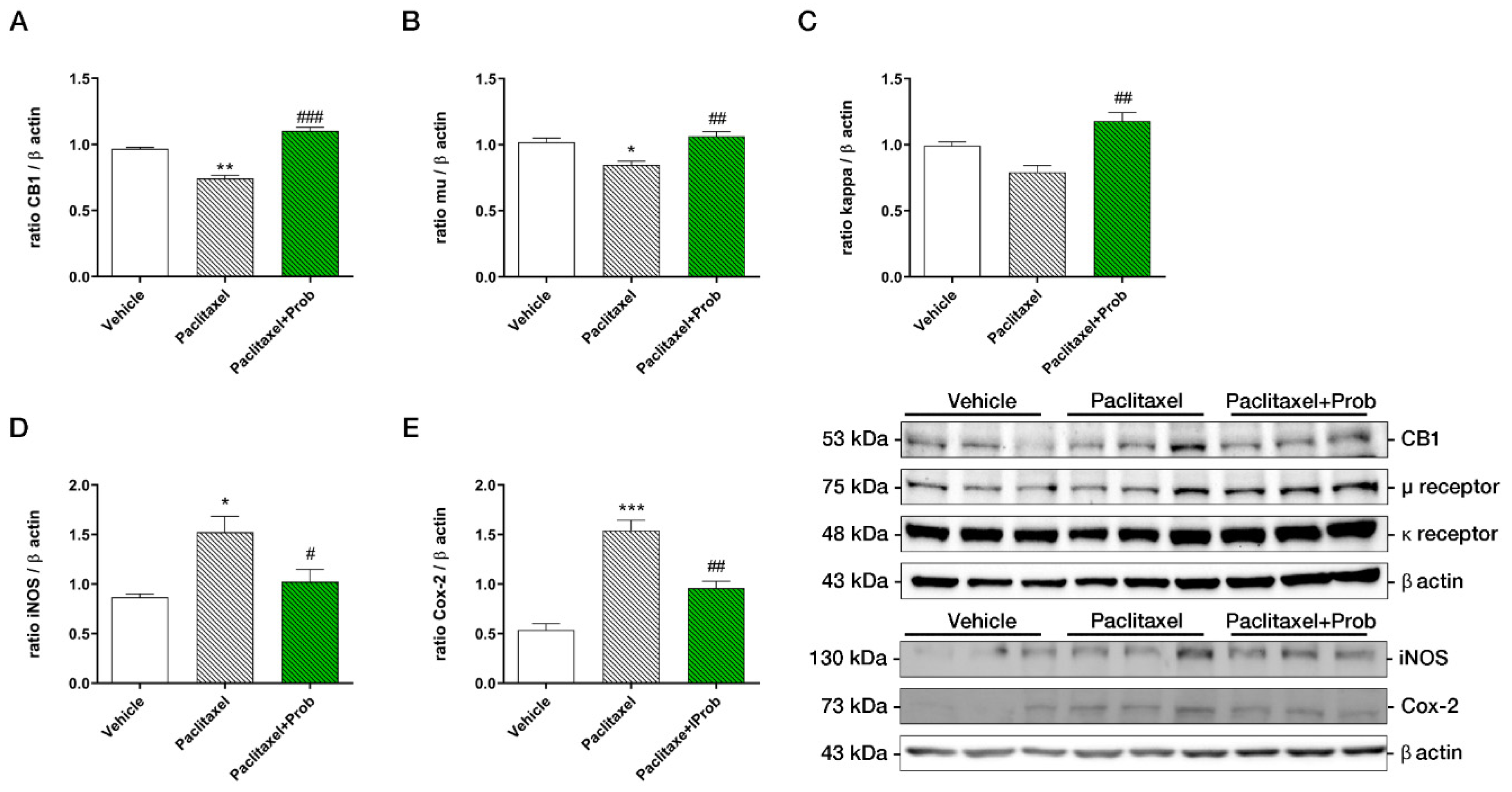 Biomedicines 09 00346 g004 Biomedicines 09 00346 g004