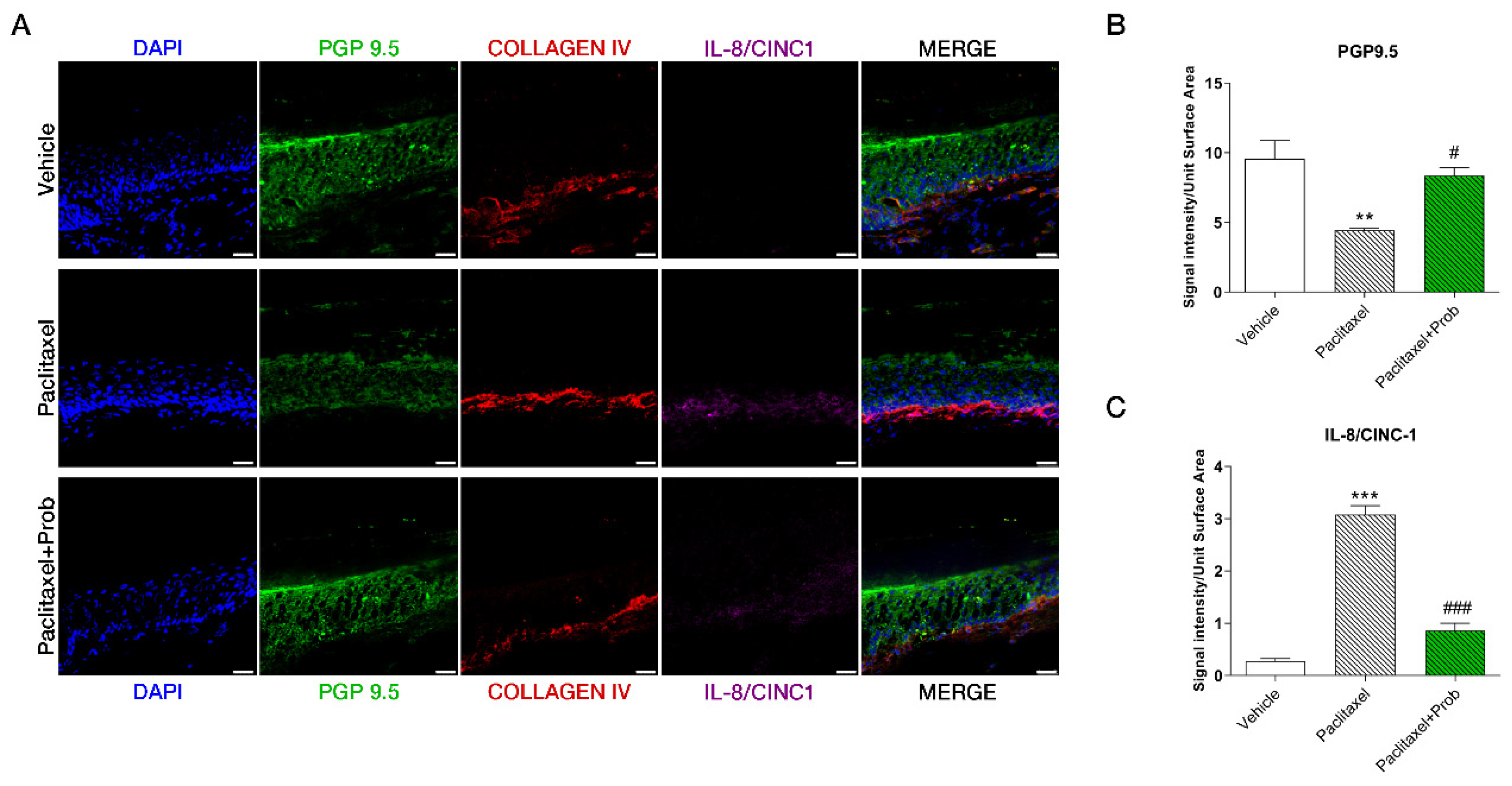 Biomedicines 09 00346 g007 Biomedicines 09 00346 g007