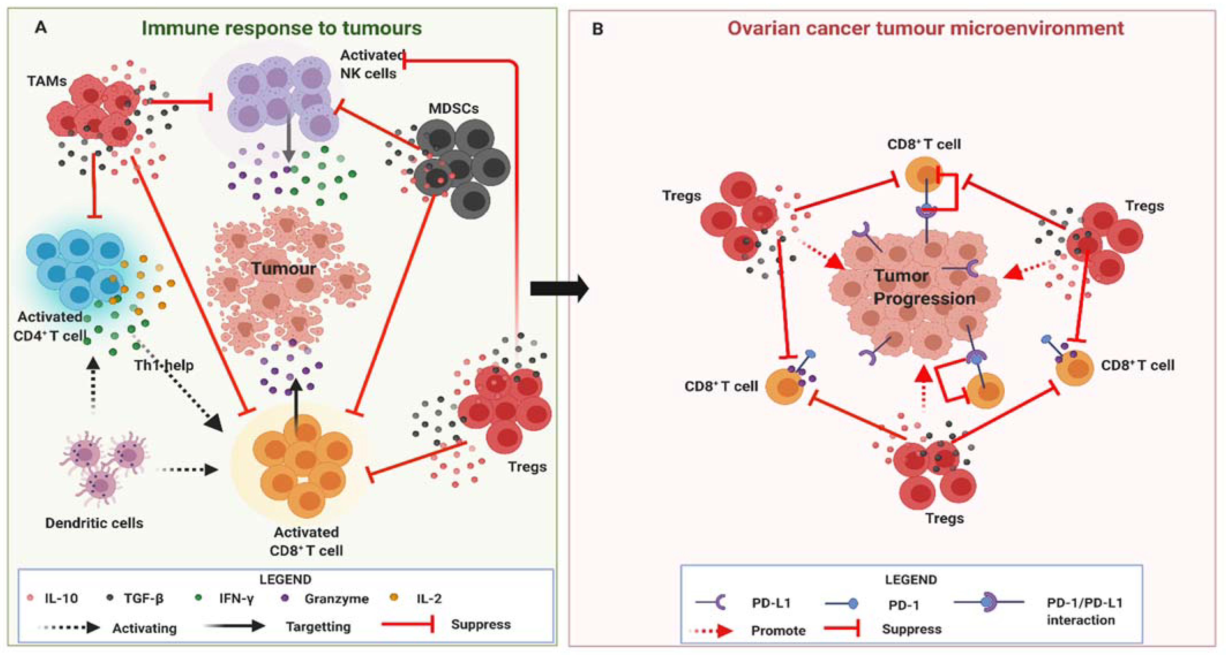 Biomedicines 09 00351 g003