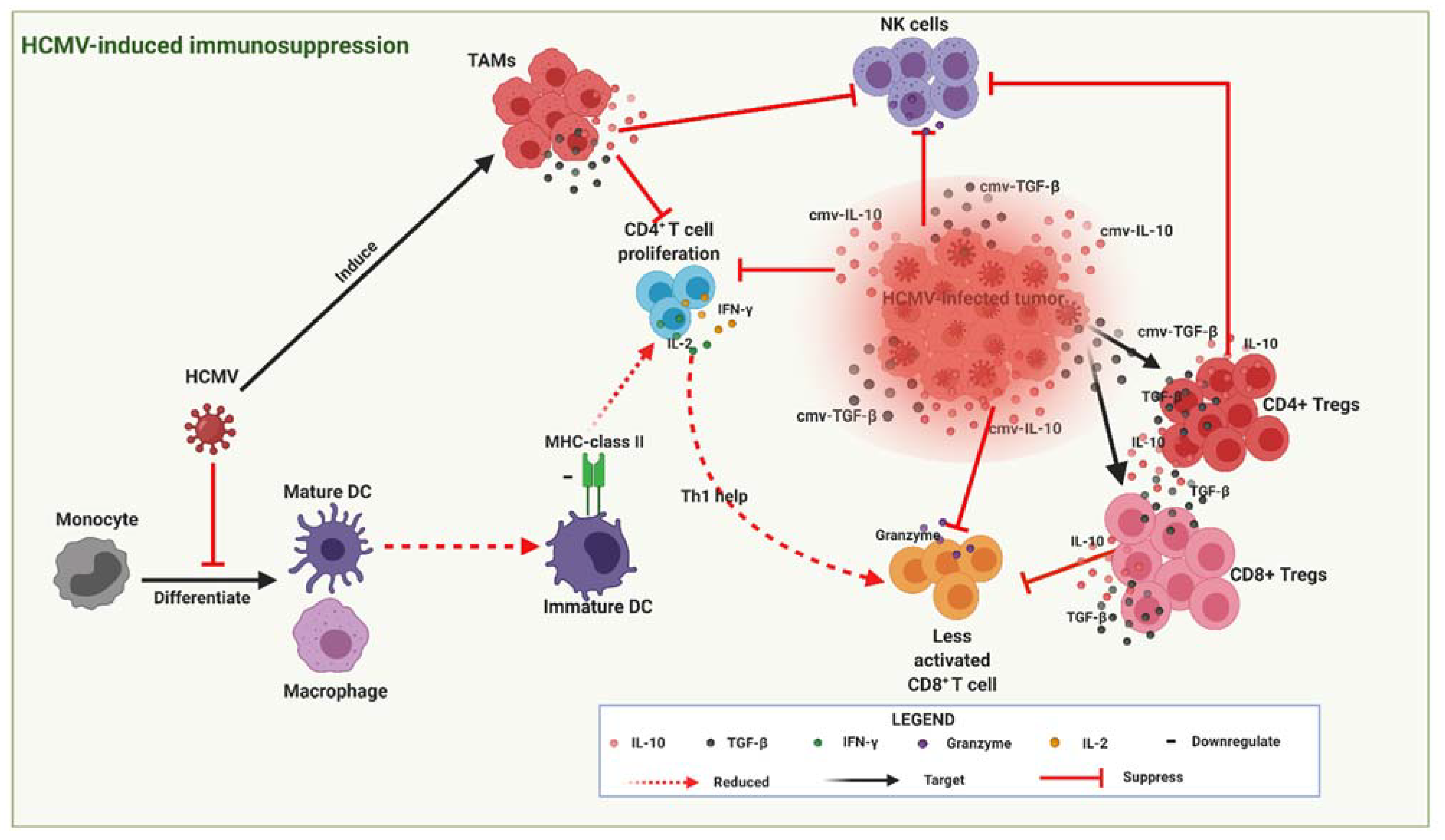 Biomedicines 09 00351 g004