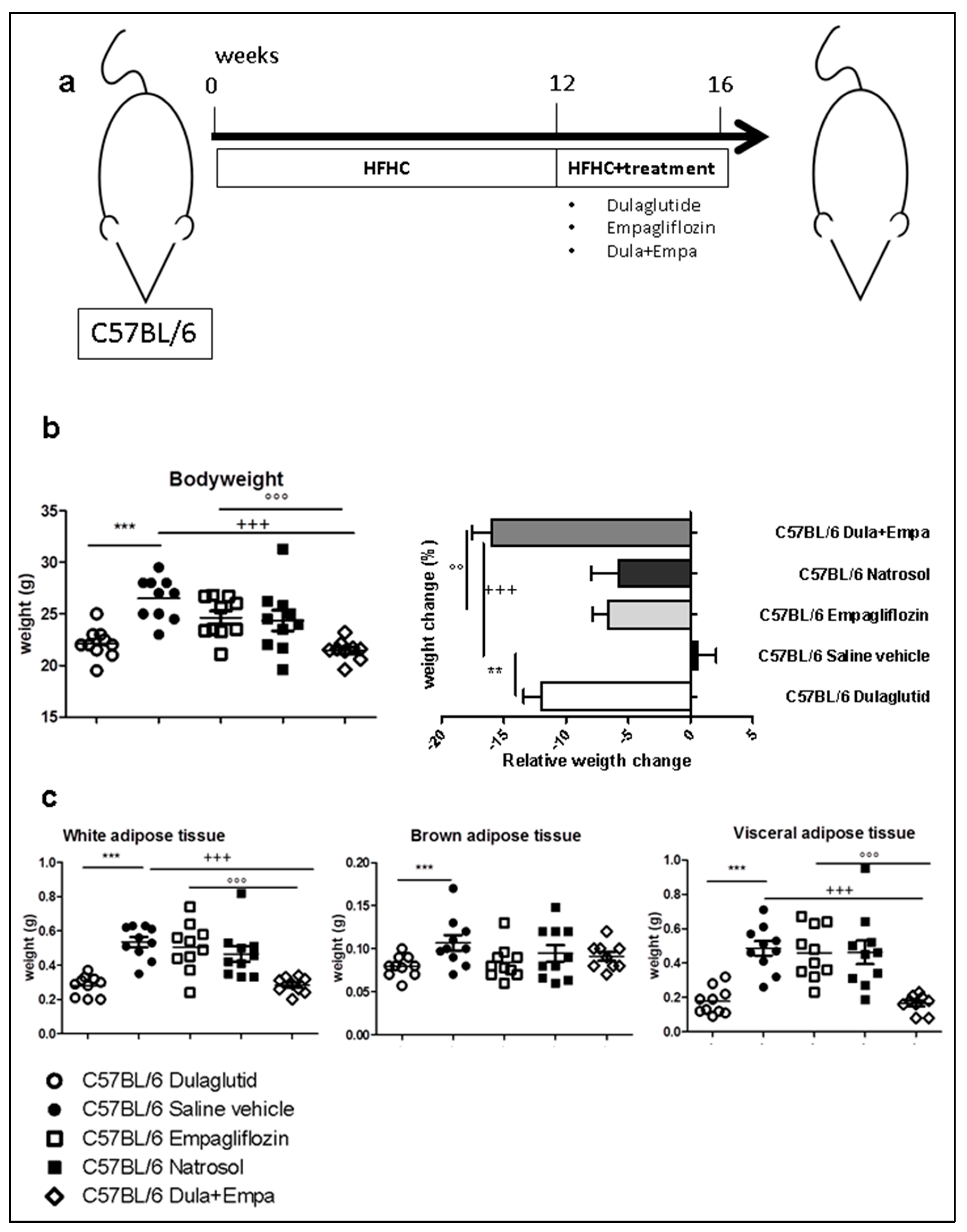 Biomedicines 09 00353 g001