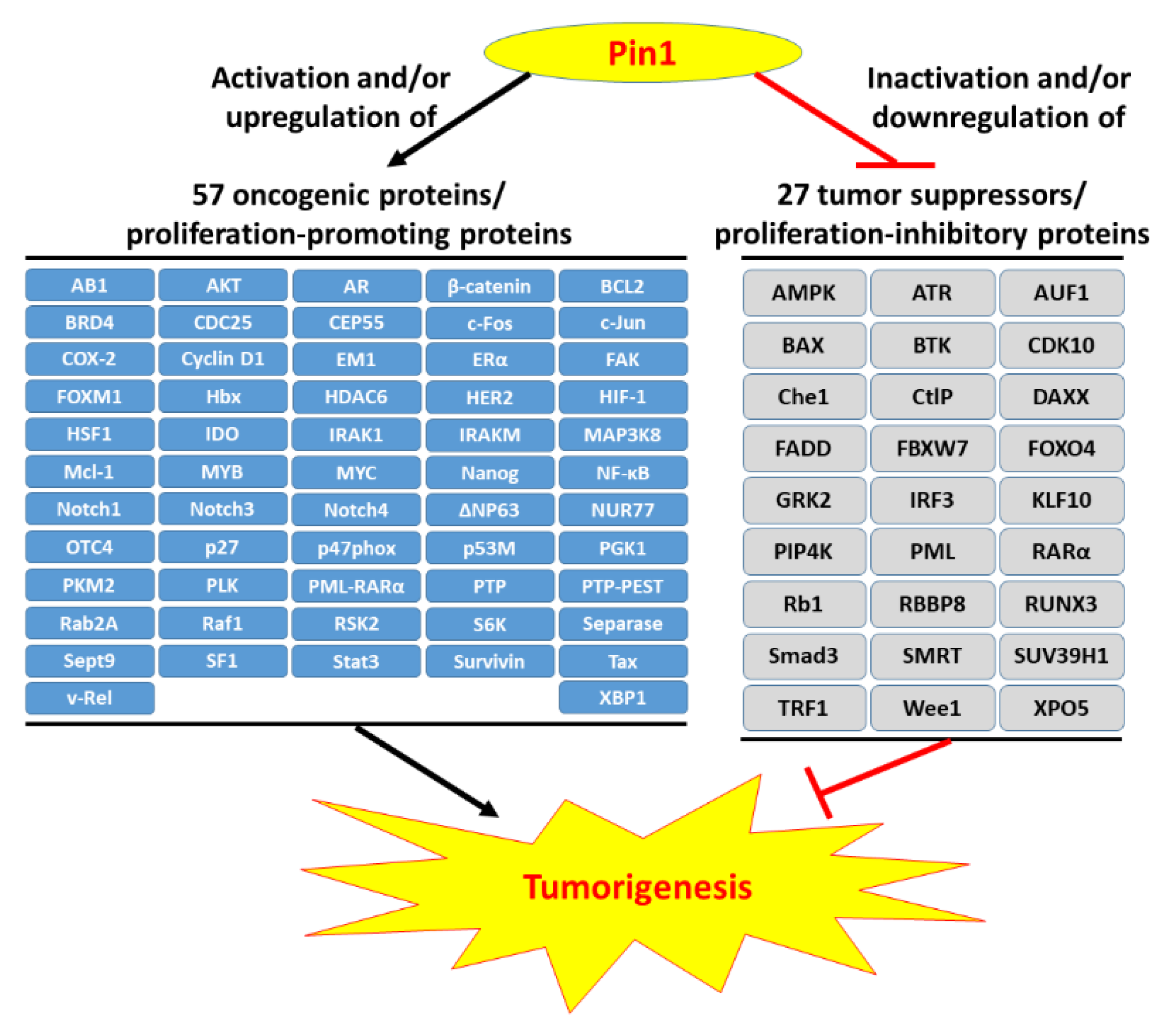 Biomedicines 09 00359 g001