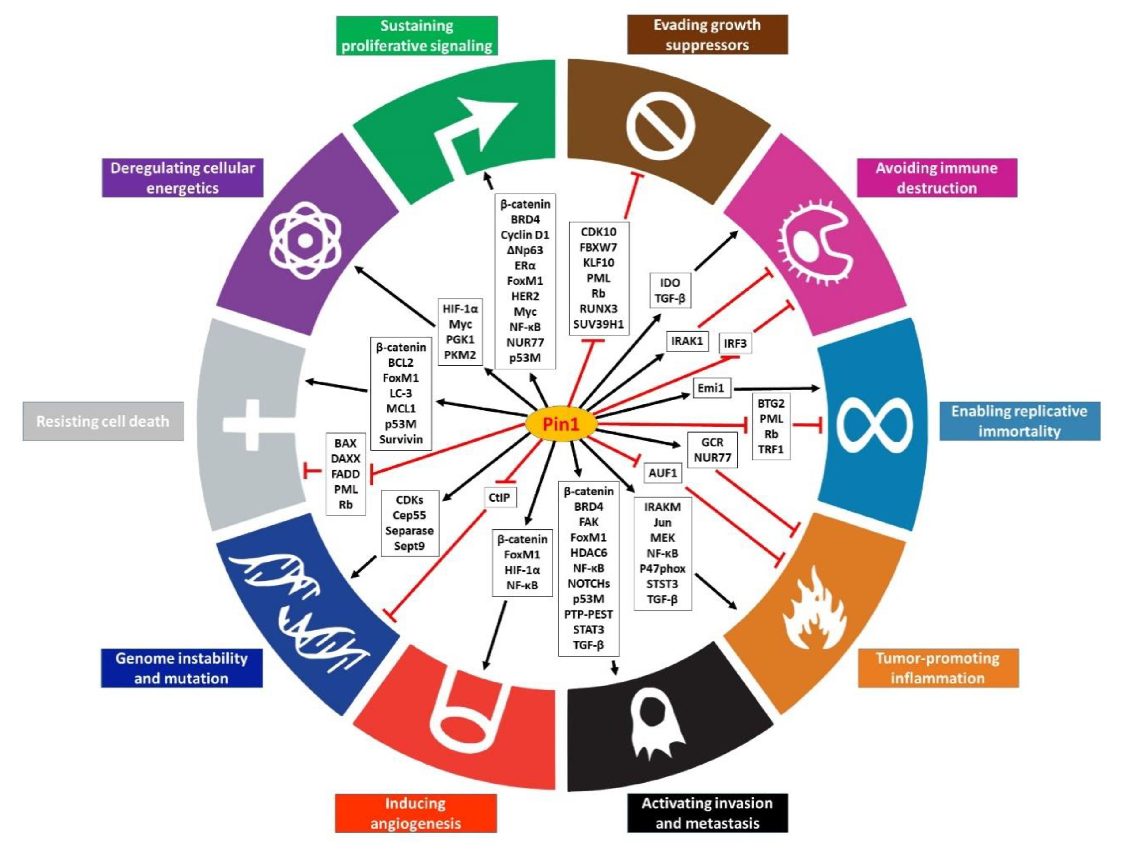 Biomedicines 09 00359 g002