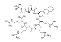 Biomedicines 09 00359 i012
