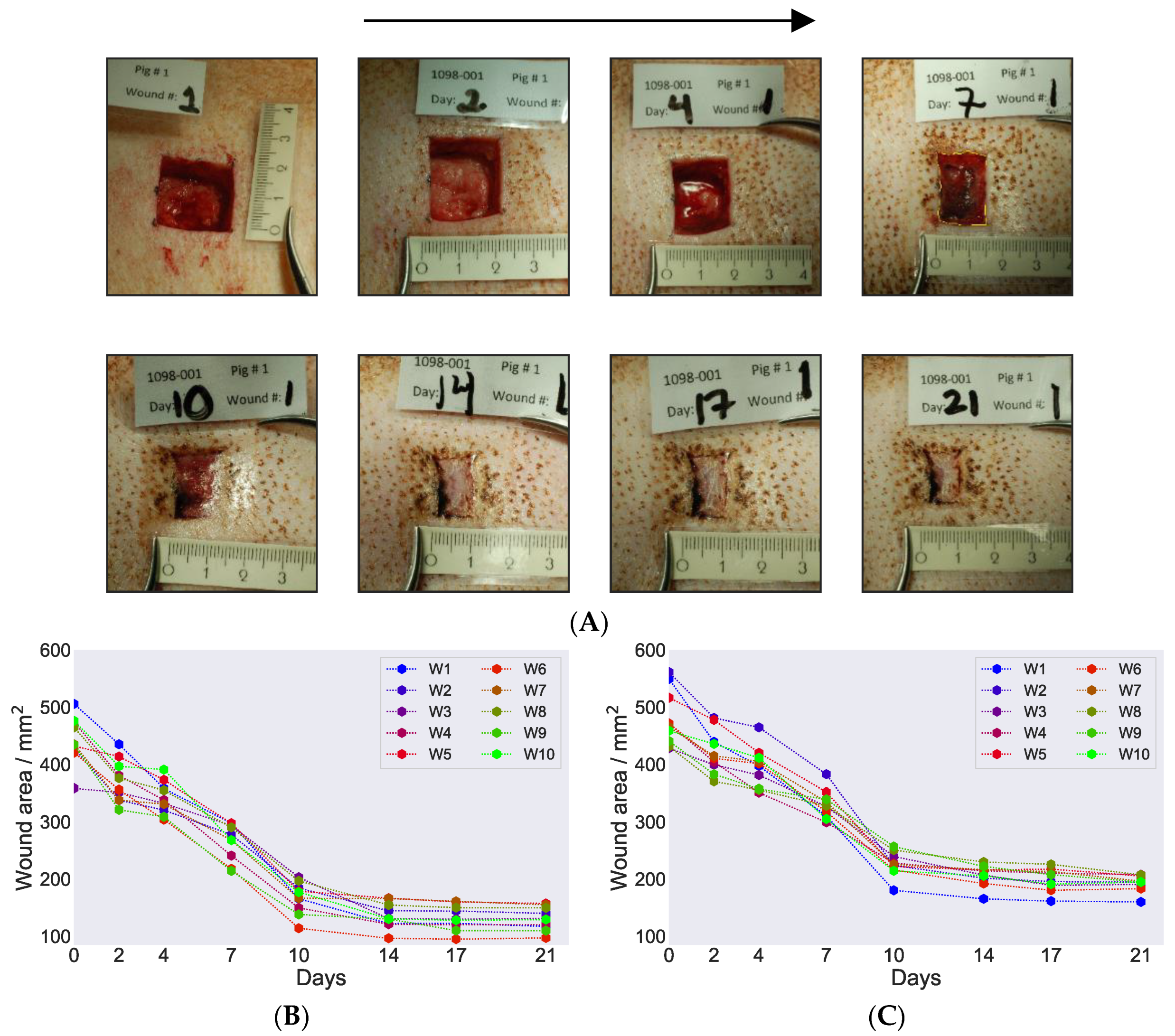 Biomedicines 09 00360 g002