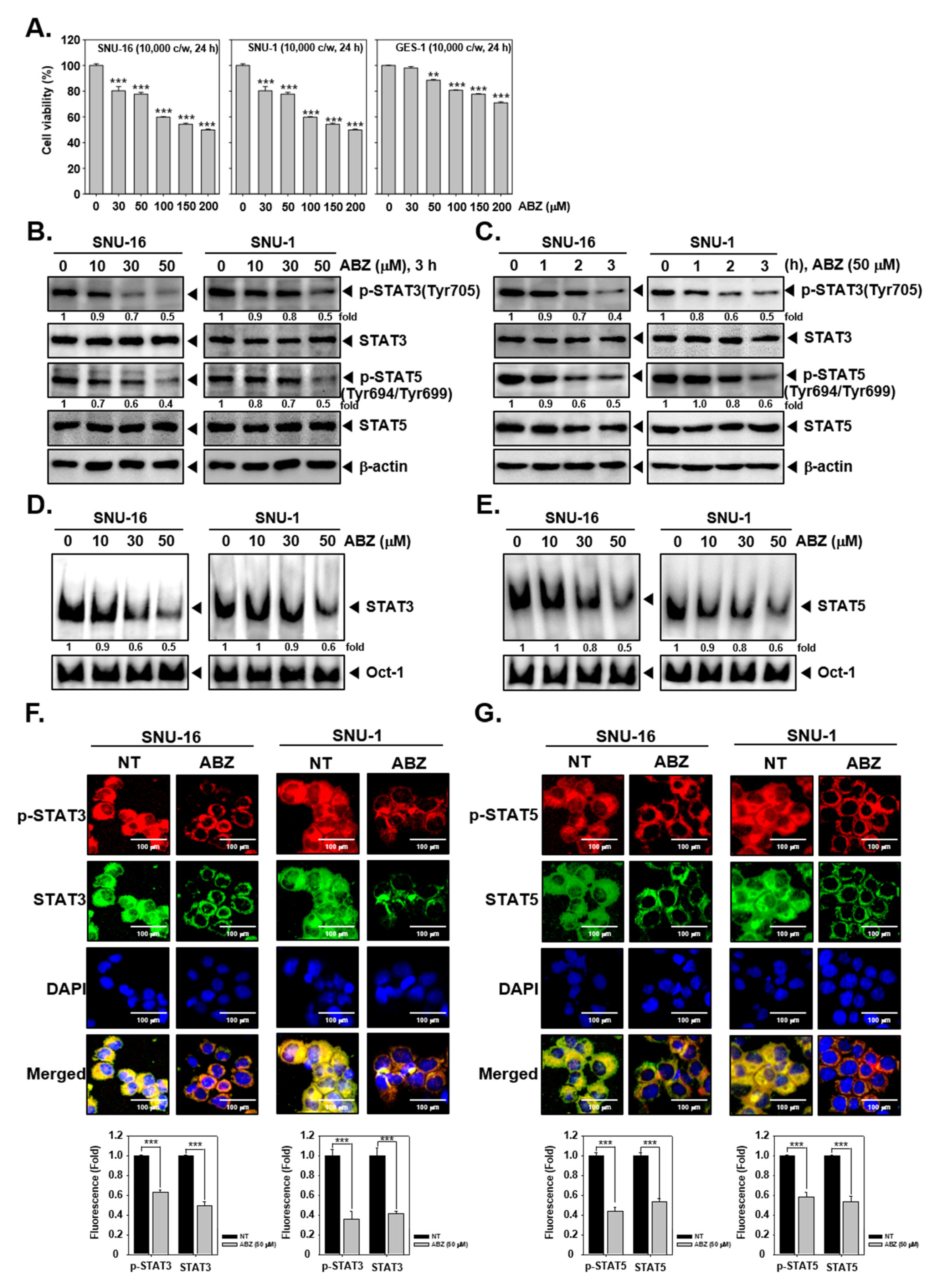 Biomedicines 09 00362 g002