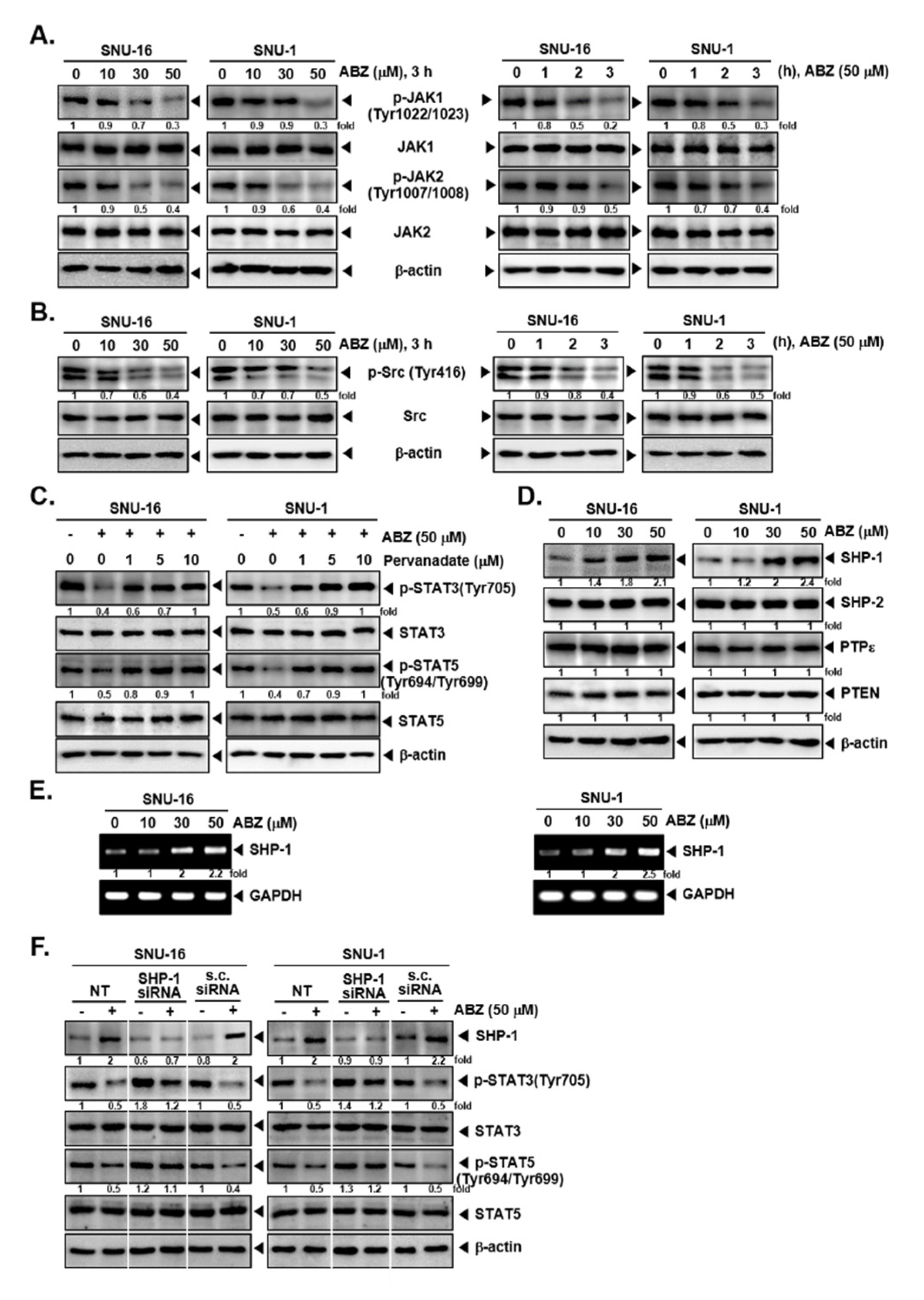 Biomedicines 09 00362 g003