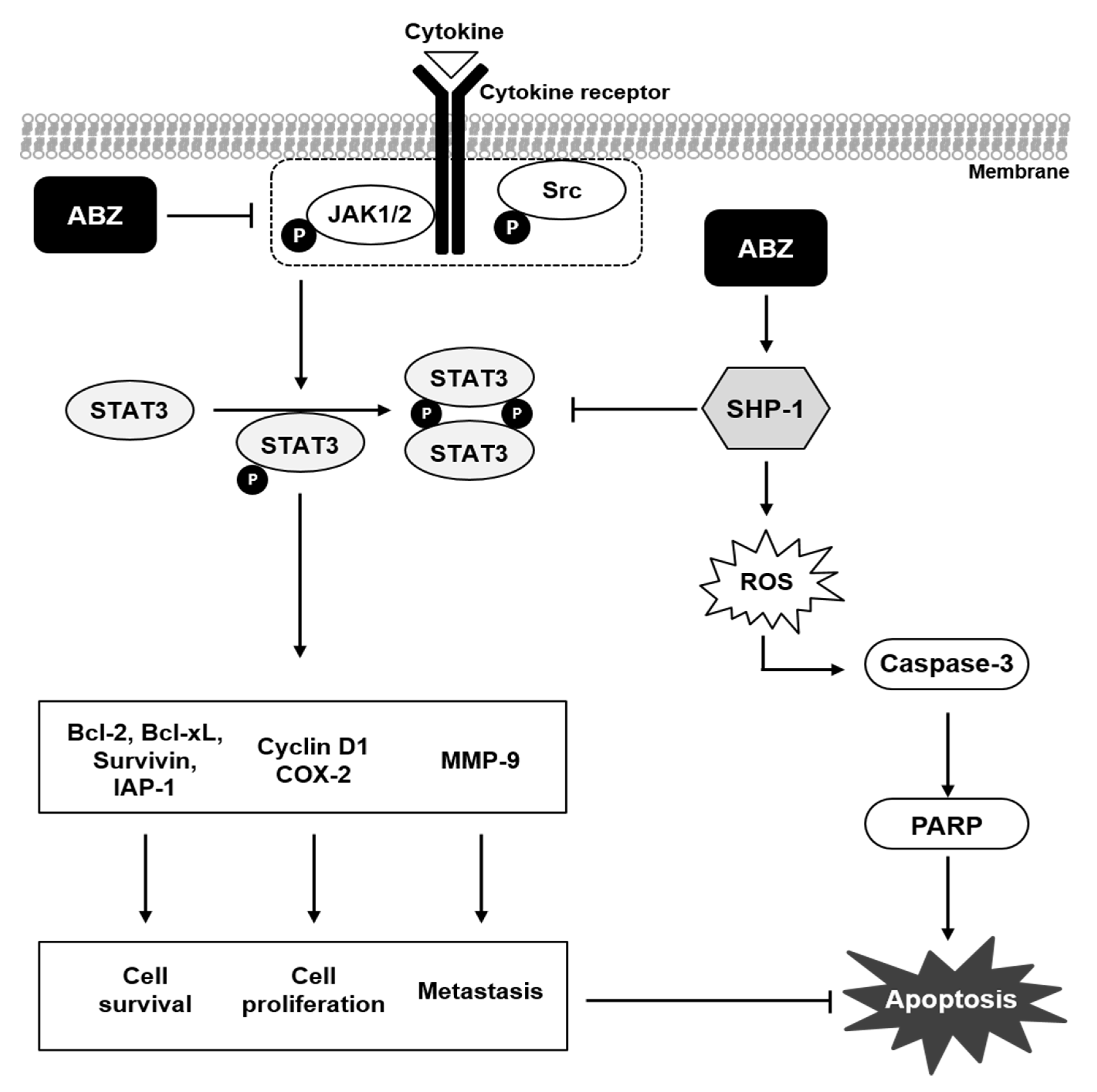 Biomedicines 09 00362 g007